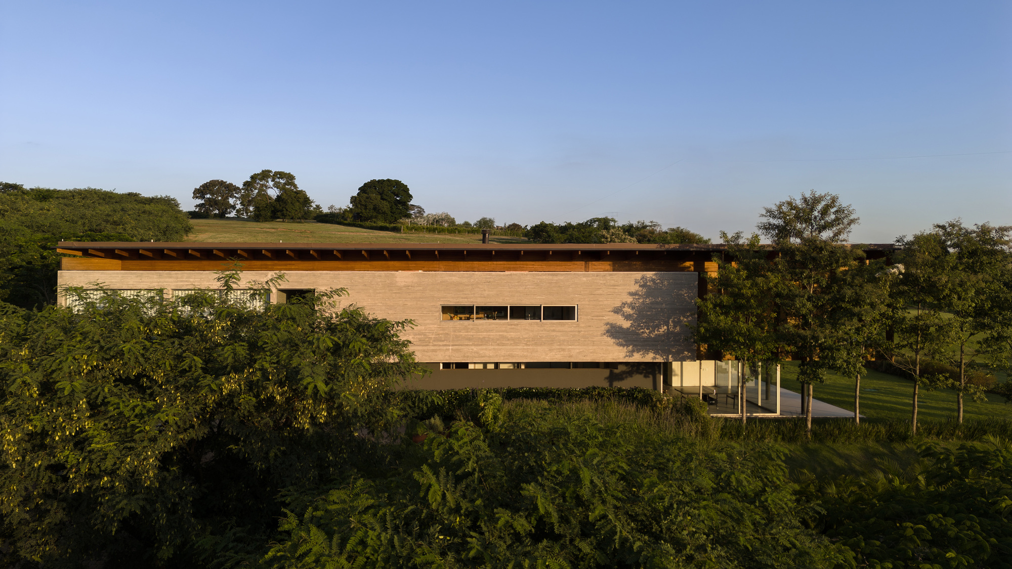 Side elevation of a board-marked concrete wall under a thin timber roof, framed by leafy trees in late sun
