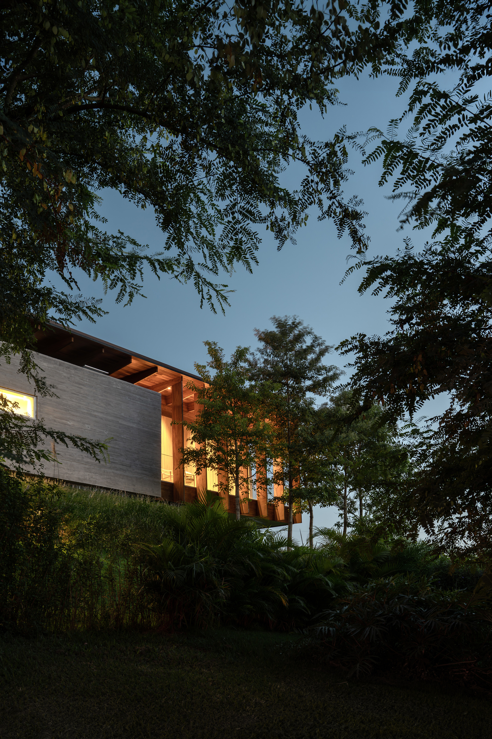 Timber-framed upper volume with a board-formed concrete wall glowing at dusk, seen through tree branches and dense garden planting