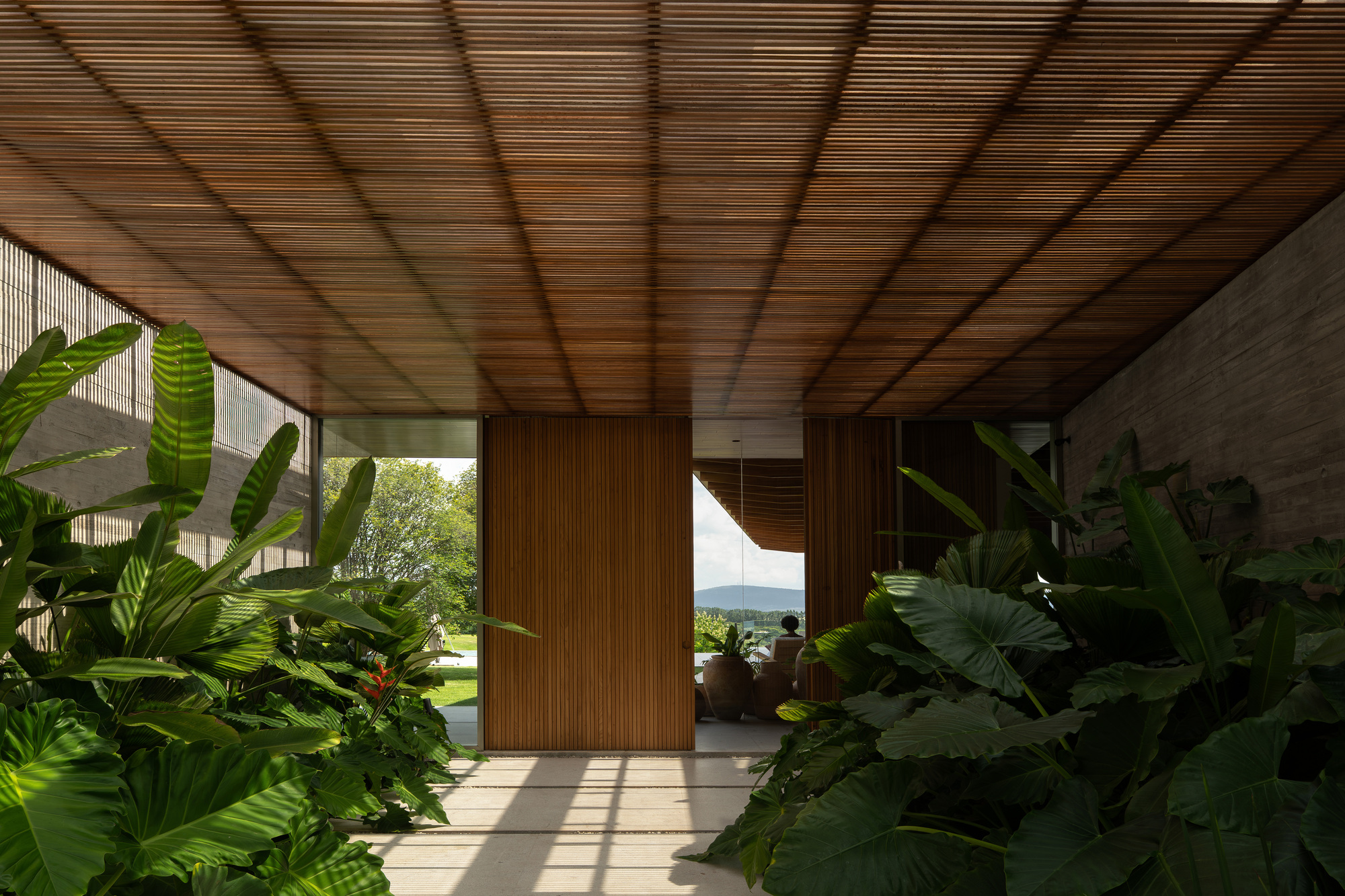 Covered walkway under a slatted timber ceiling, flanked by large-leaf tropical plants and a tall wood pivot door in daylight