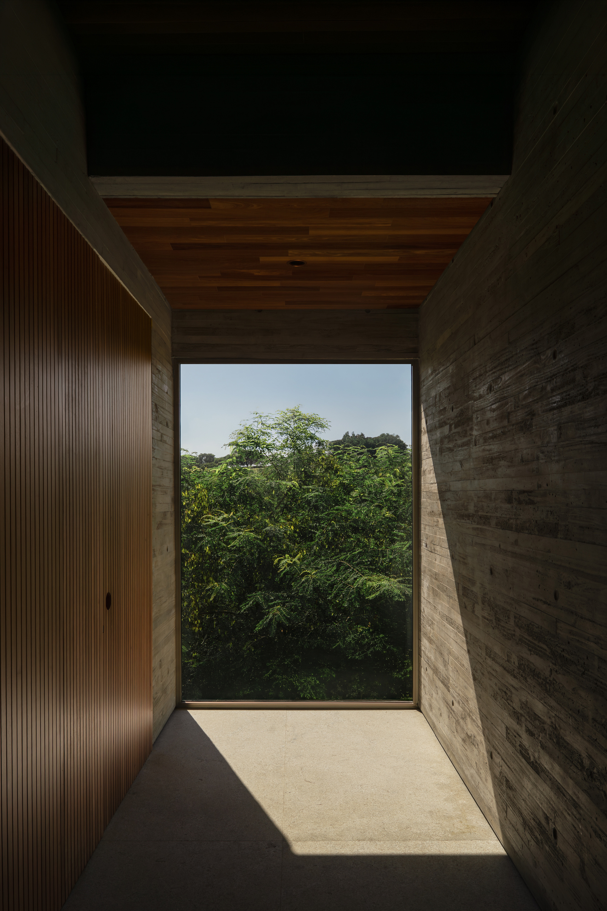 Concrete-walled passage with a wood-lined ceiling ending in a large picture window filled with green tree canopy in strong sun