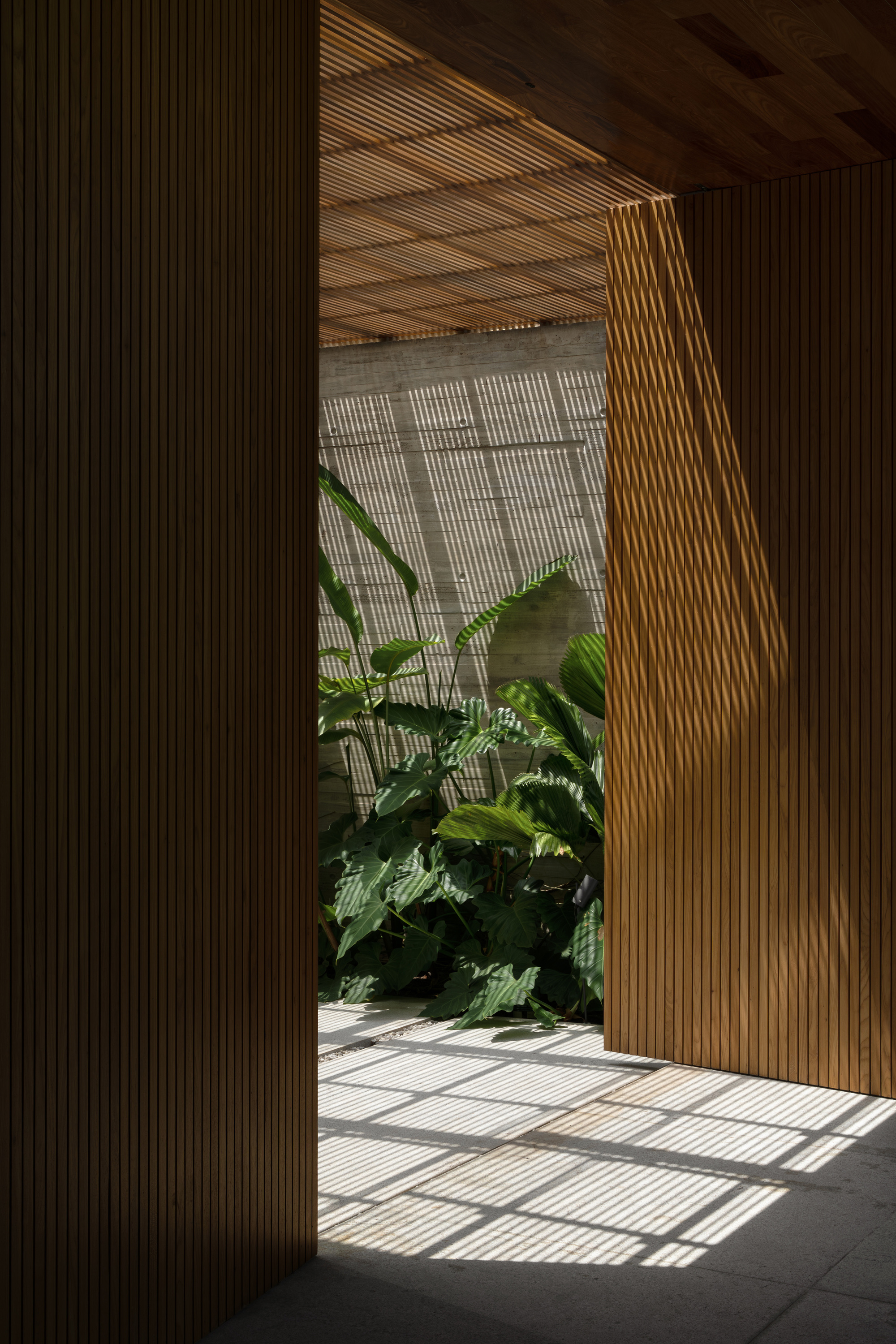 Vertical timber slat panels open onto a planted courtyard, with striped light and shadow cast across the paved floor