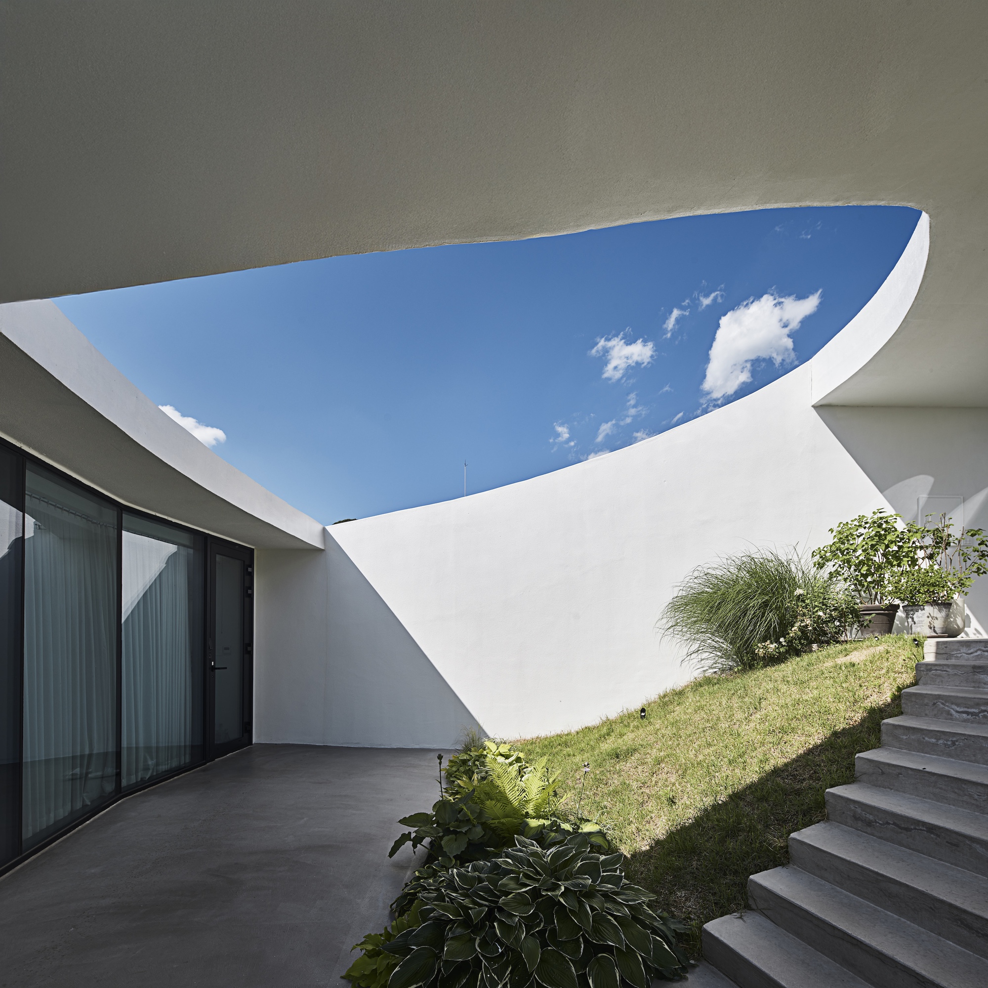 Sunken courtyard with a curved white wall, hosta and fern planting and concrete steps, open to a blue sky through the roof