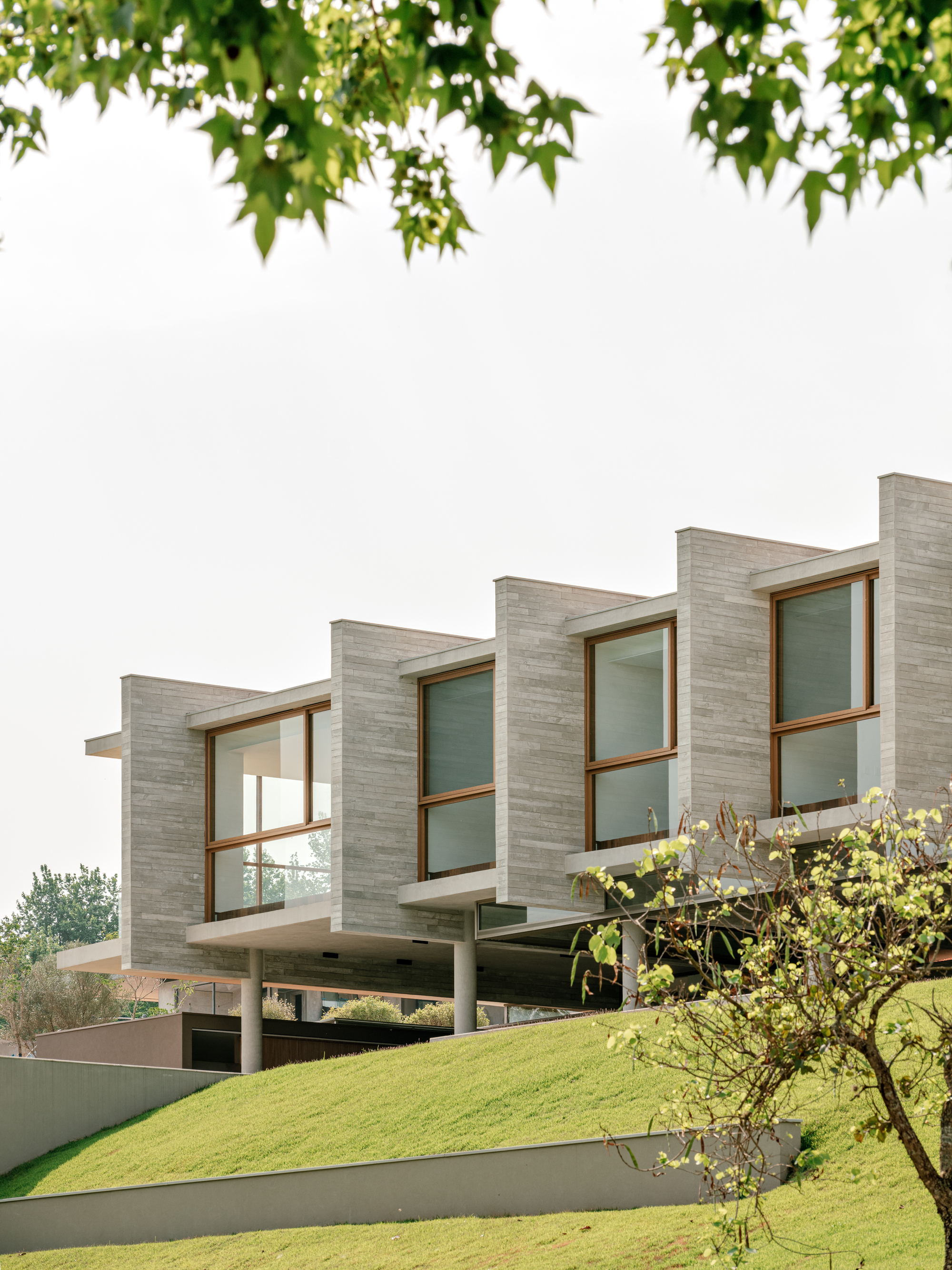 Board-formed concrete fins and timber window frames above a grassed slope, with a budding branch in the foreground