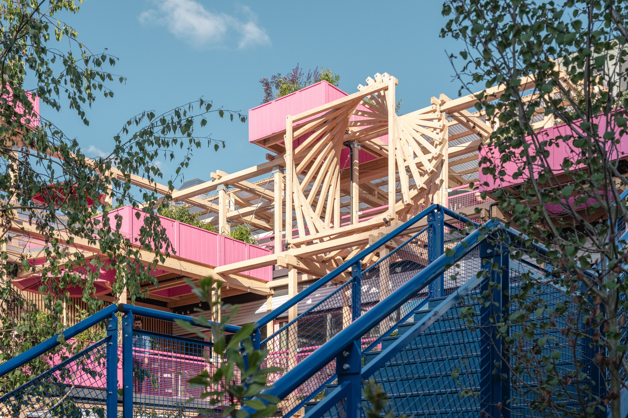 Close-up of radiating timber struts and pink planter boxes seen past blue mesh stair railings and birch branches