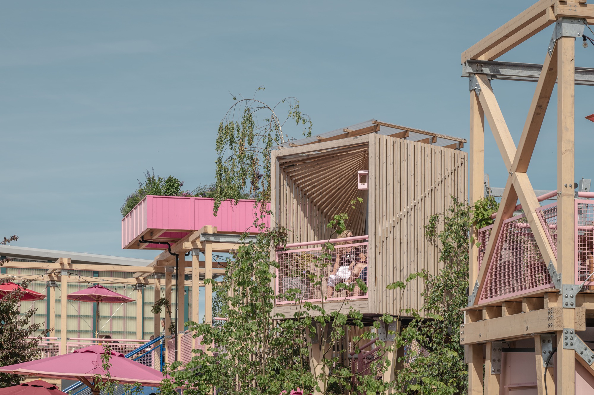 Slatted timber lookout box with a pink planter volume beside it, a person reclining on the balcony and birch branches in front