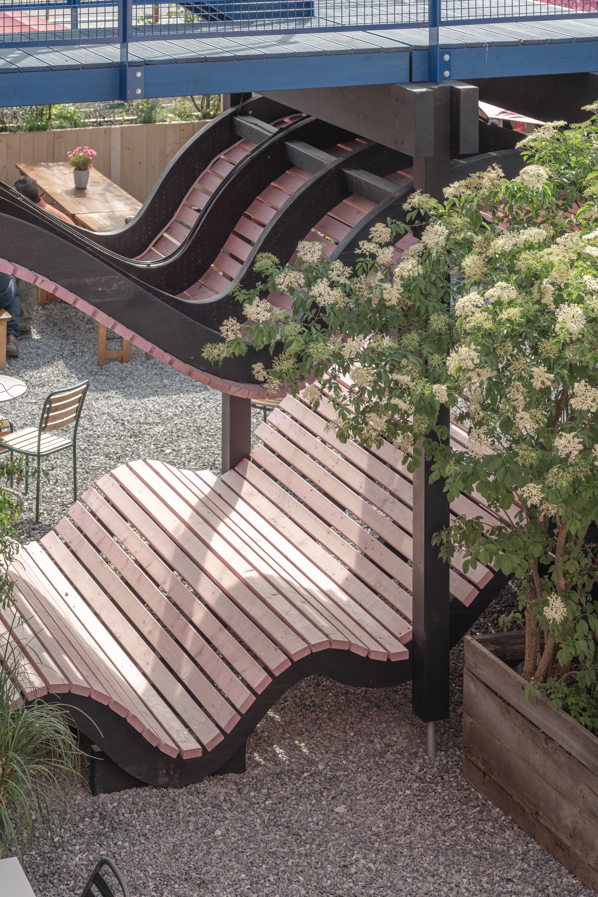 Wavy timber bench with pink-stained slats and a ribbed dark staircase beside a flowering shrub in a gravel courtyard