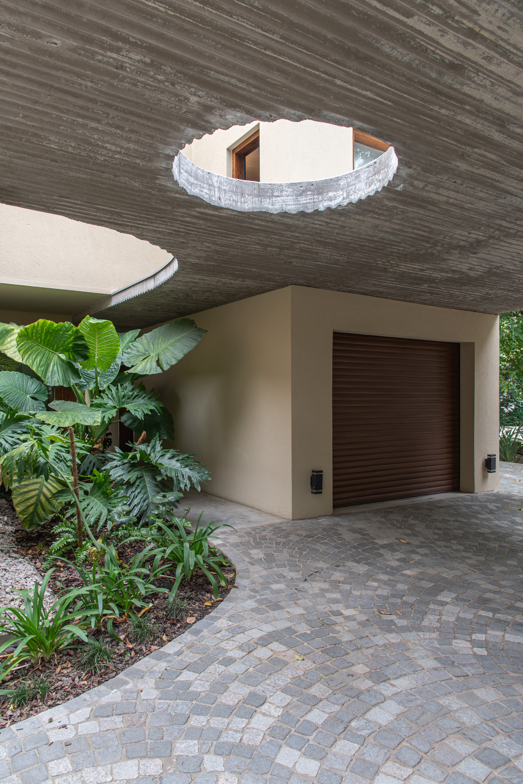 Board-formed concrete soffit with circular openings above a roller garage door, a planted bed of broad-leaf foliage and curved stone paving