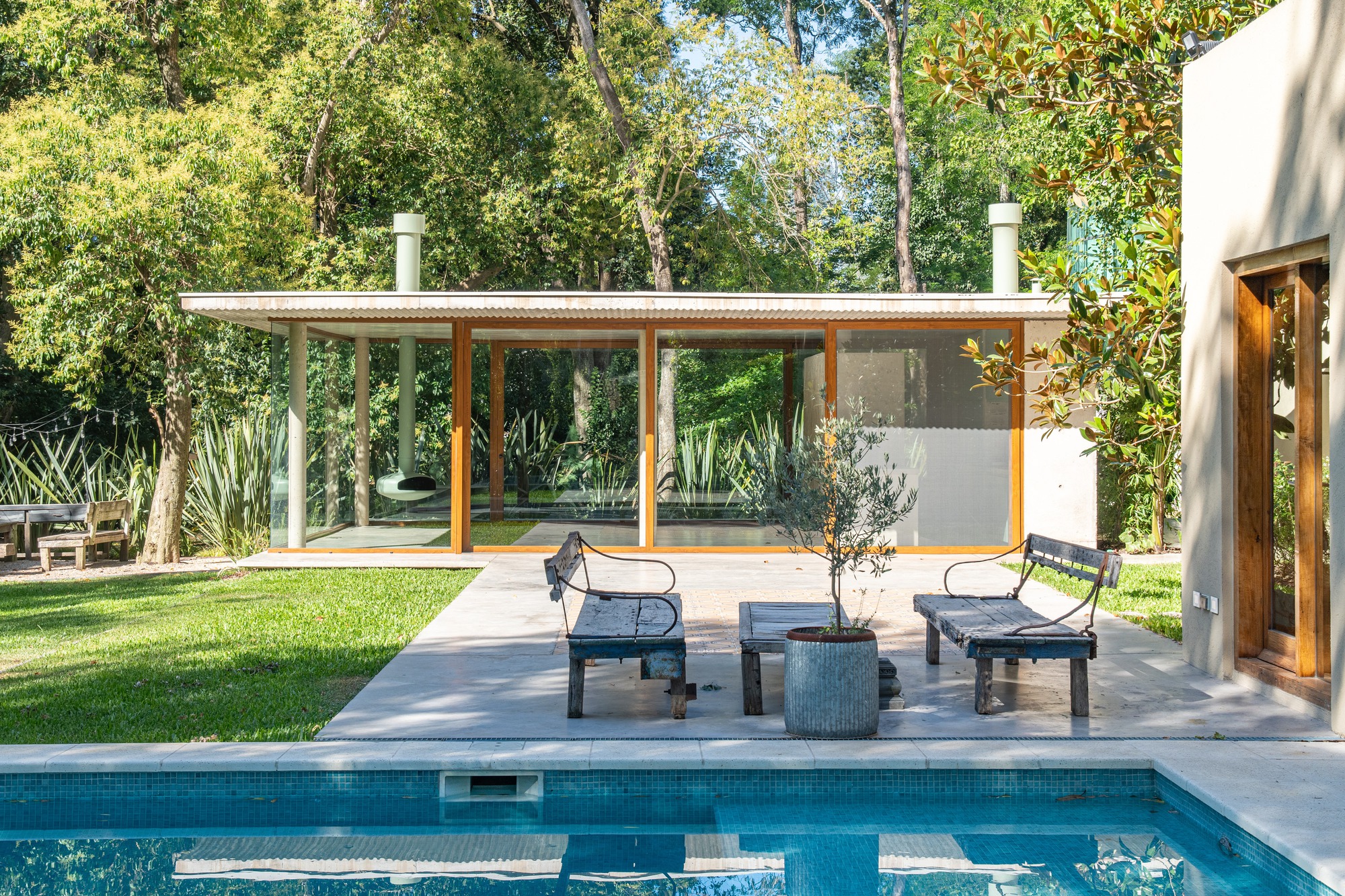 Glass pavilion with a thin corrugated roof and timber frames, with two weathered benches and a potted olive tree beside the pool
