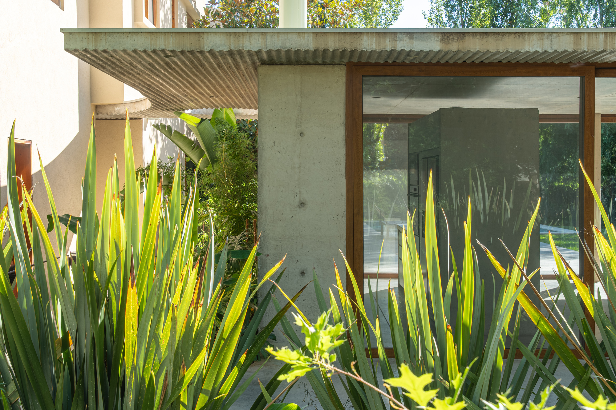 Corner of a concrete column and corrugated roof edge beside timber-framed glazing, half hidden by sunlit strap-leaf plants