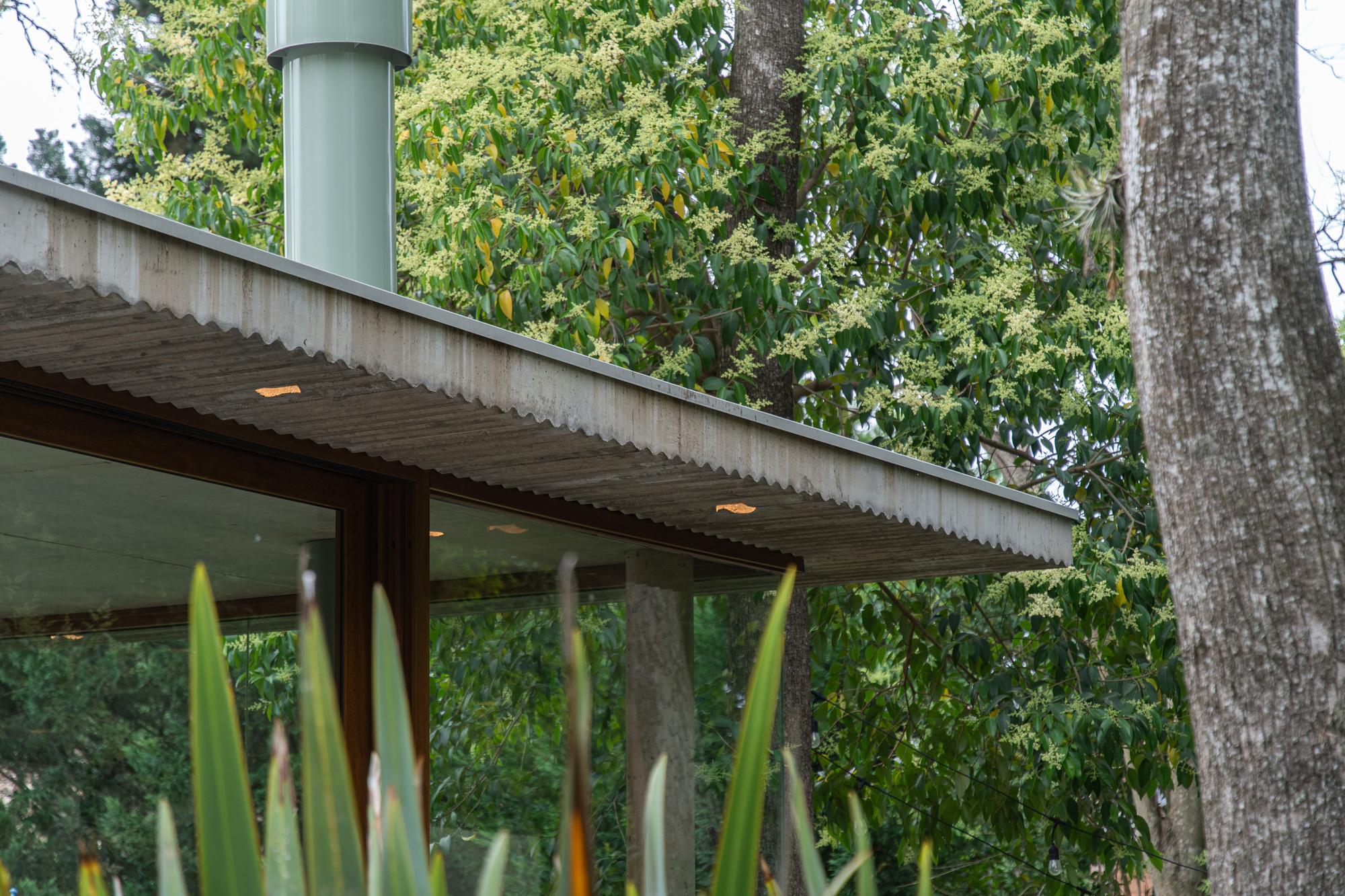 Corrugated concrete roof overhang above a glazed corner with a green flue pipe, framed by flowering trees