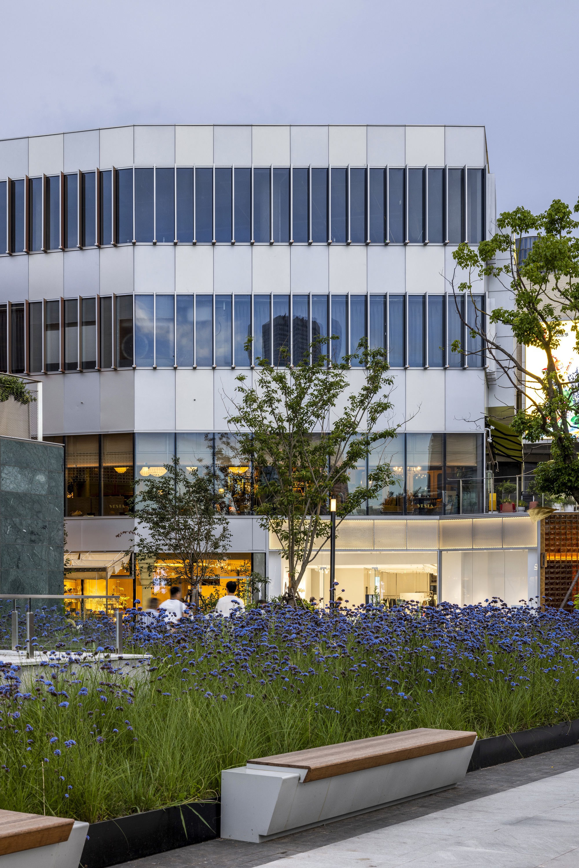 Dusk view of a white paneled block with ribbon windows behind a bed of blue flowers and grasses, with timber-topped benches in front