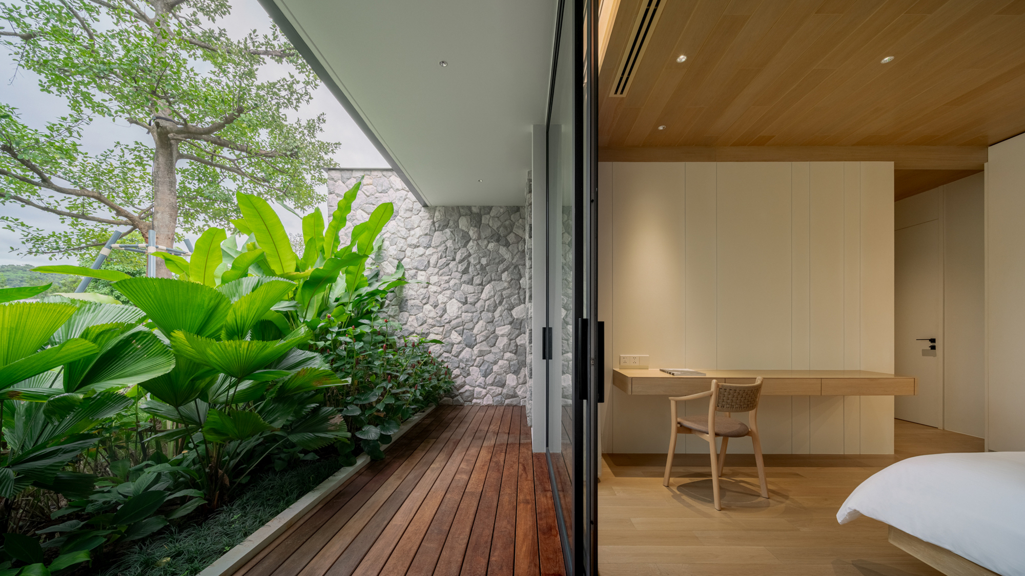 Timber deck beside a planted bed of broad-leaved palms and a tall tree, with a stone wall and bedroom desk beyond the glass