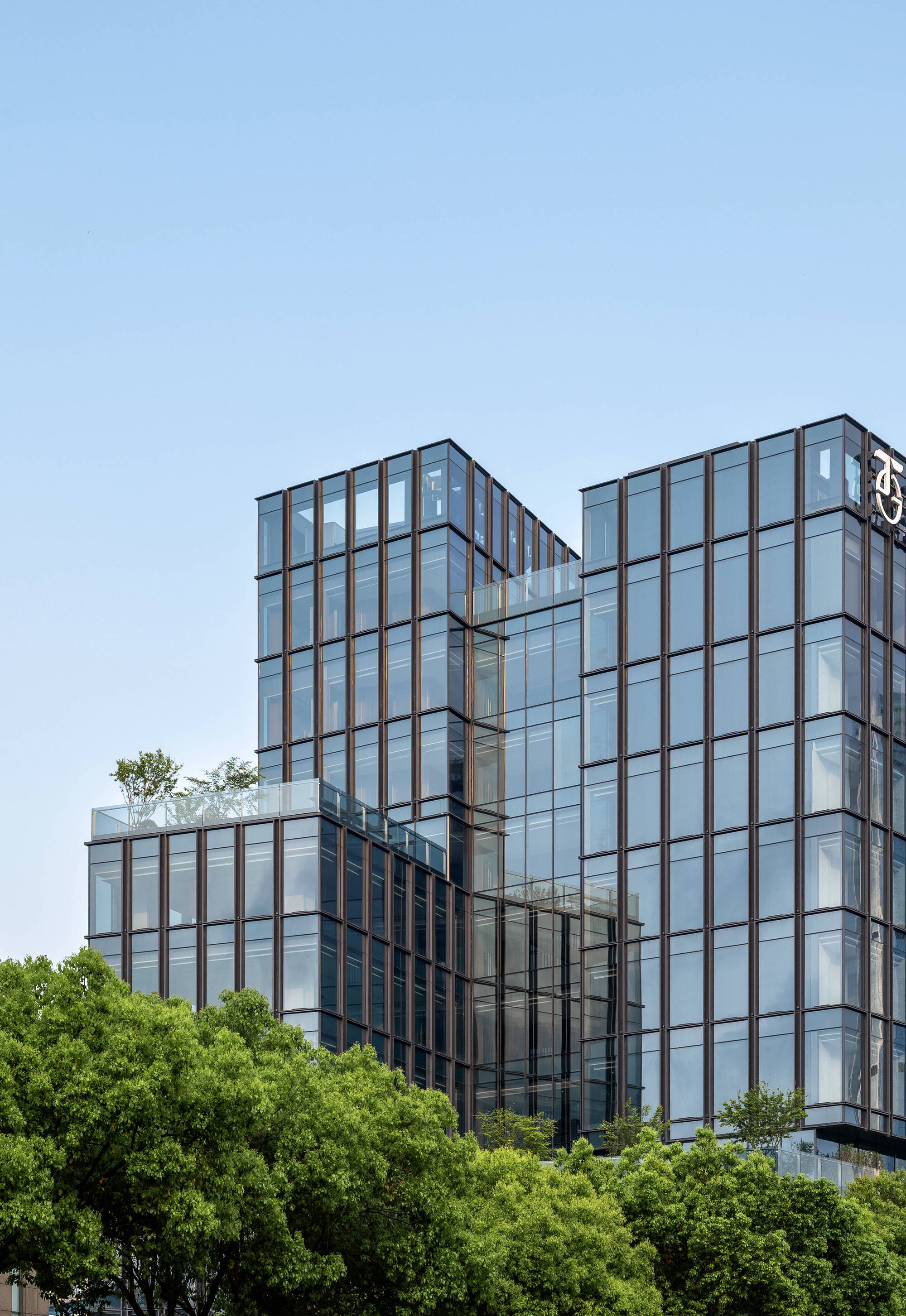 Upper floors of the glass towers with bronze mullions and a rooftop terrace, seen above green tree canopy in clear sky