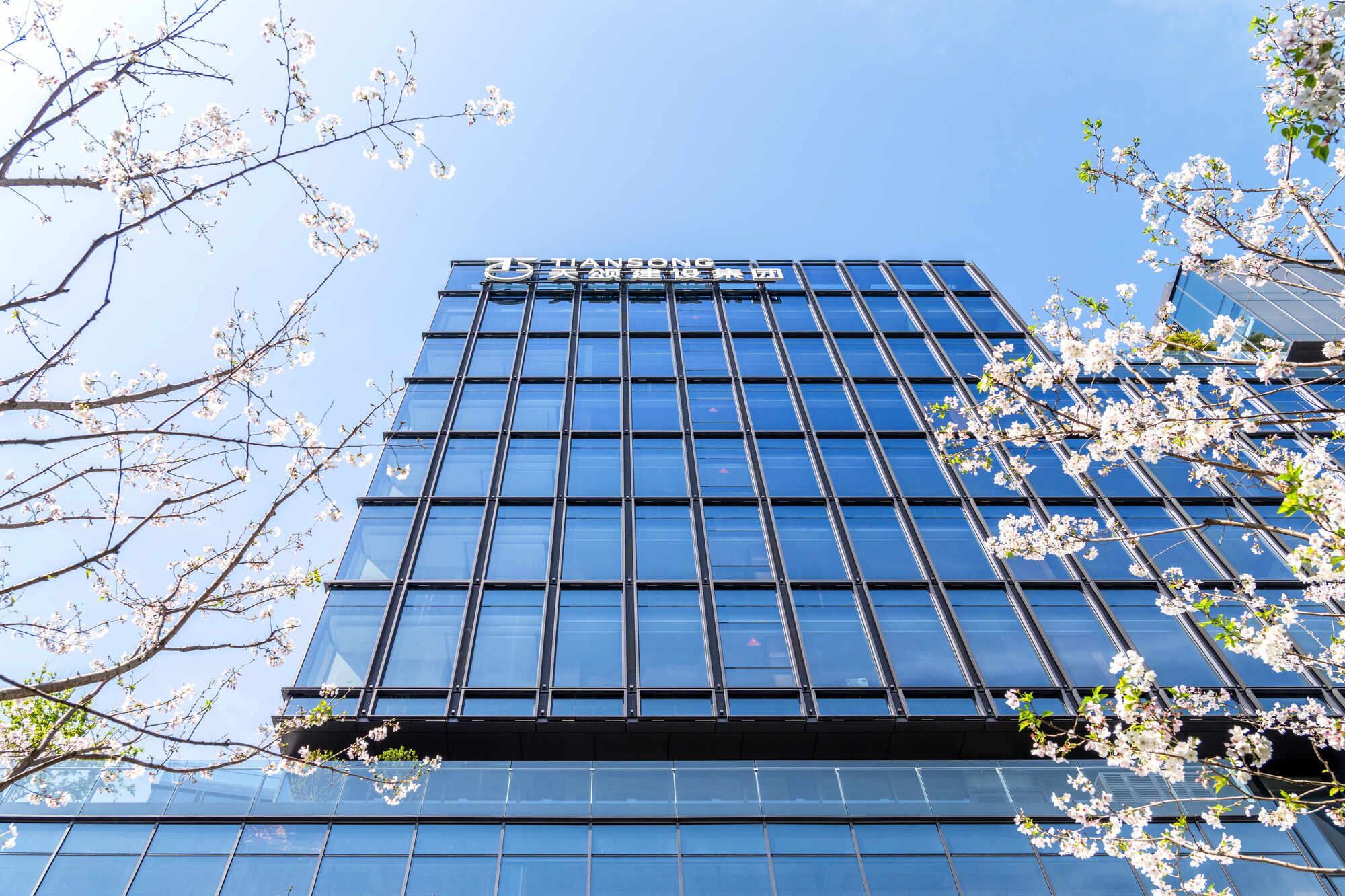 Upward view of the glass tower with rooftop signage and a dark band at its base, between blossoming branches