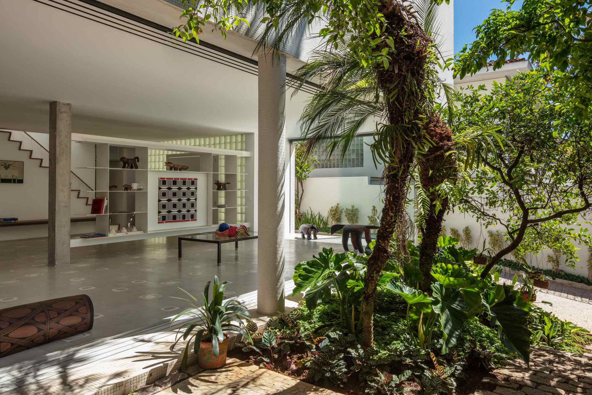 Open ground-floor living room with concrete columns and a white shelving unit, seen past a palm and citrus garden in dappled sunlight