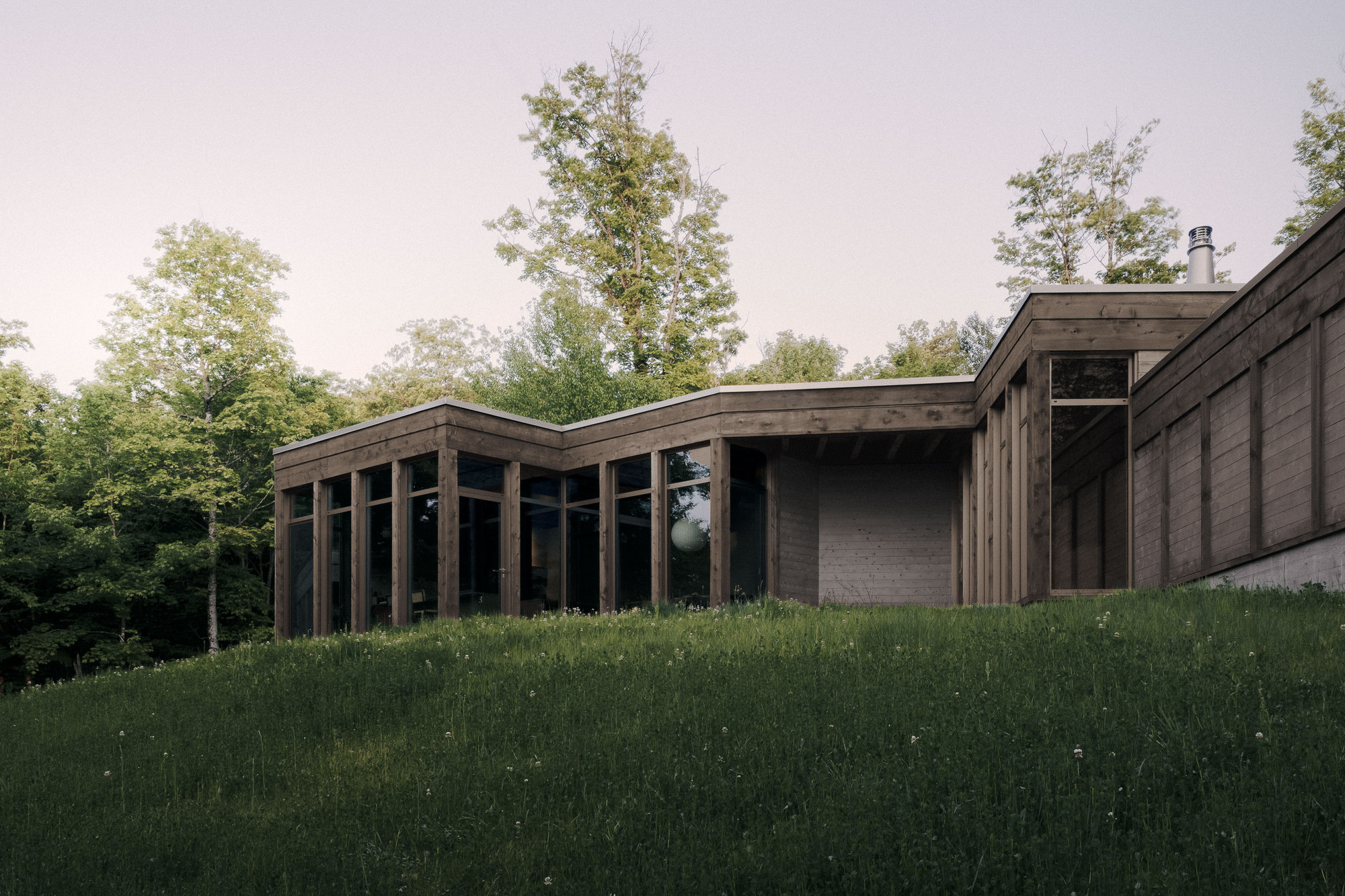 Timber-framed glazed pavilion with a stepped flat roof, seen from a wildflower meadow slope at dusk