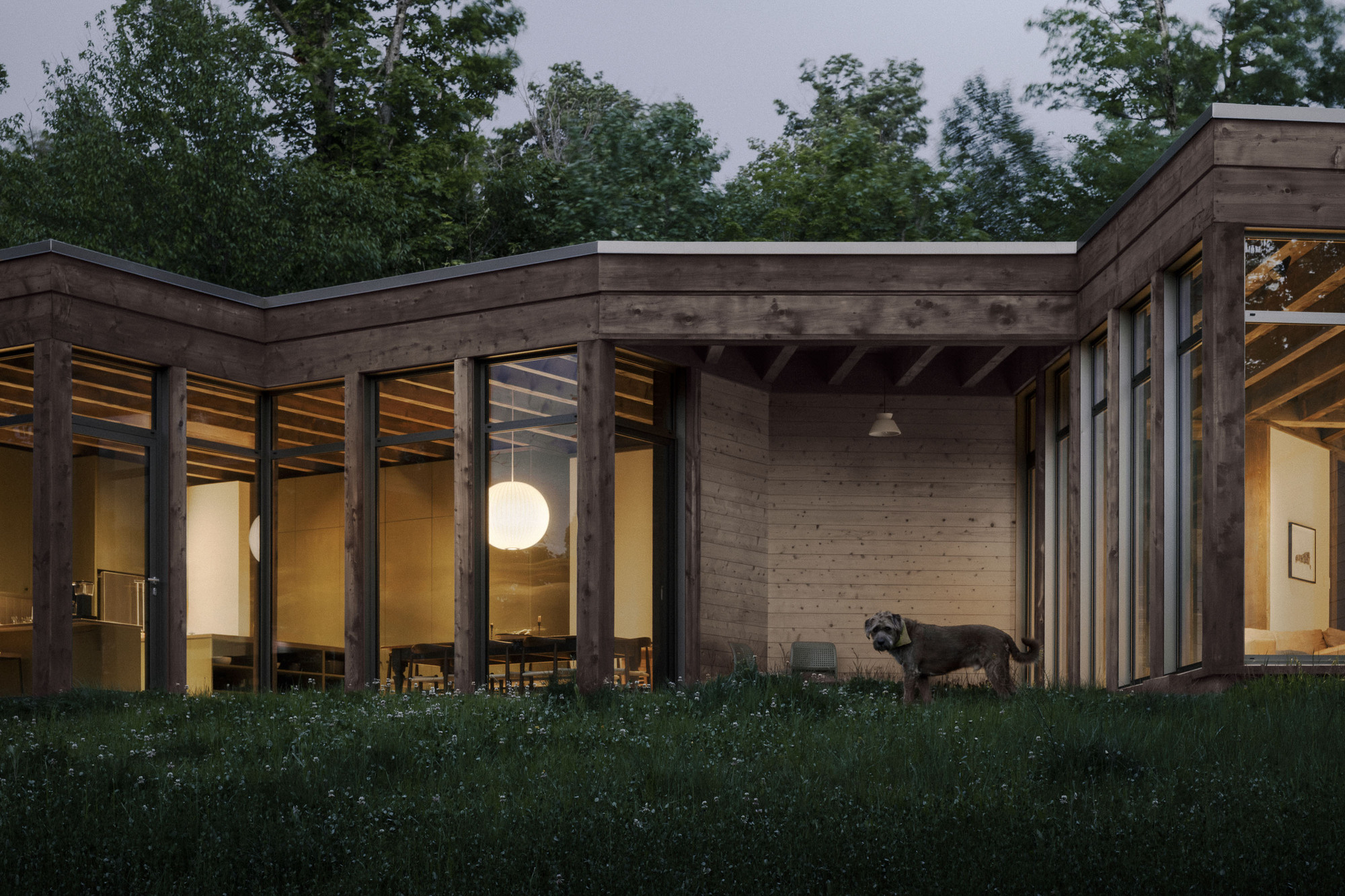 Lit living and dining room behind timber columns and glass, with a dog standing in the long grass at dusk
