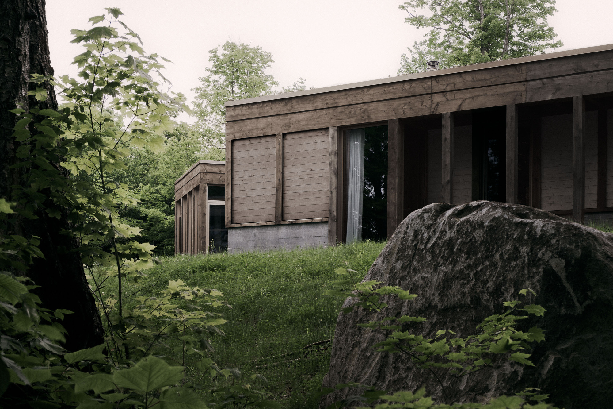Timber-clad wing with slatted openings behind a large boulder and tree trunk in dense summer foliage