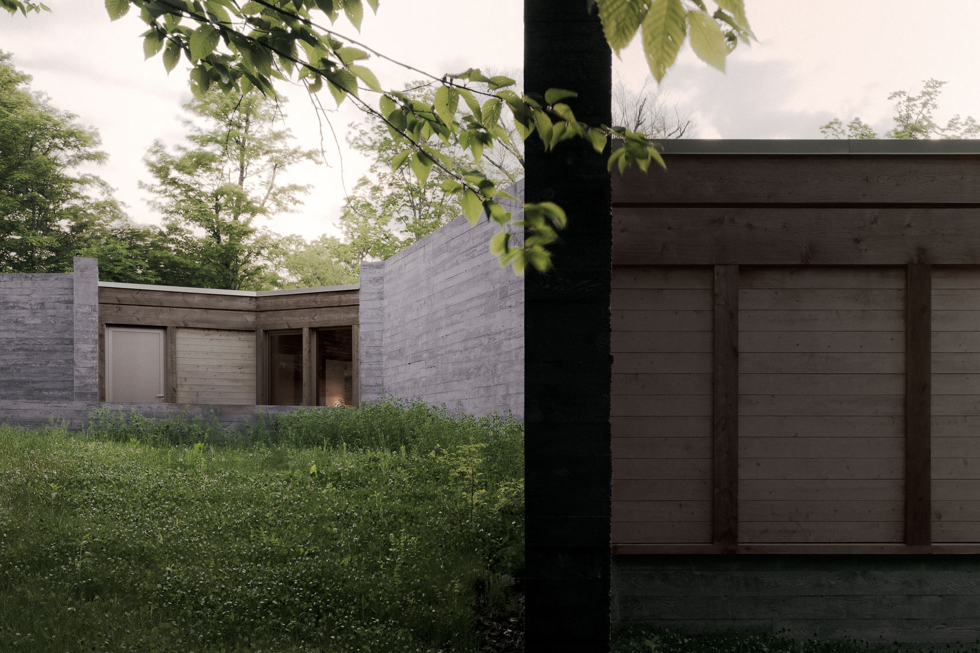 Timber-clad volume and concrete wall seen past a tree trunk and leafy branch, with meadow grass in the foreground