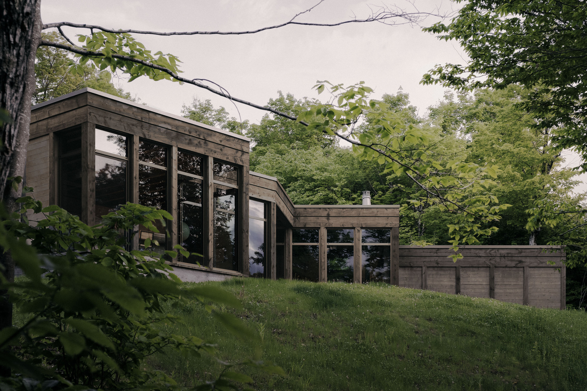 Timber-framed glazed pavilion with a flat roof seen from a grassy slope, framed by leafy branches