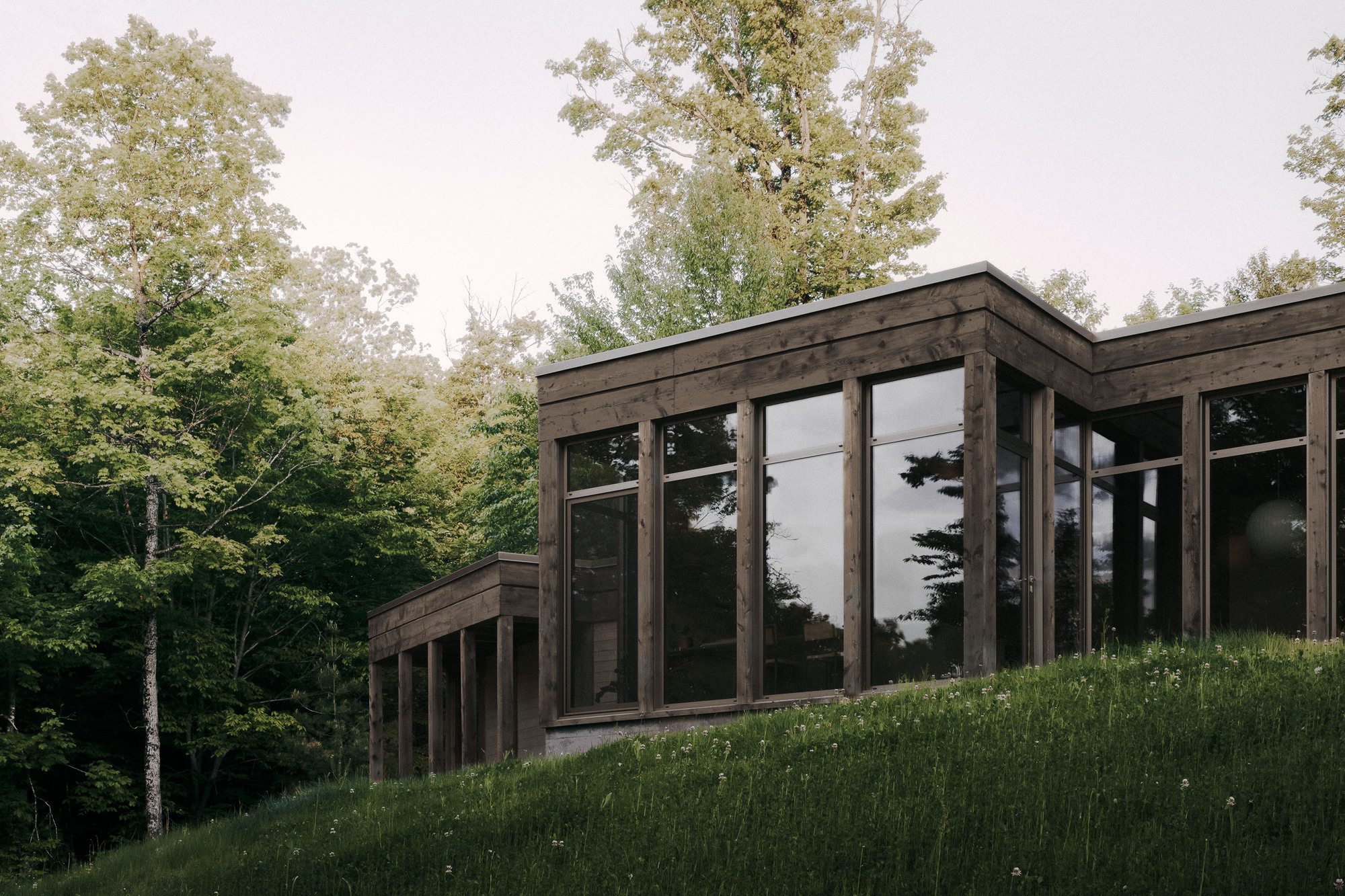 Corner of the timber-framed glass pavilion above a wildflower slope, with tall trees reflected in the windows at dusk