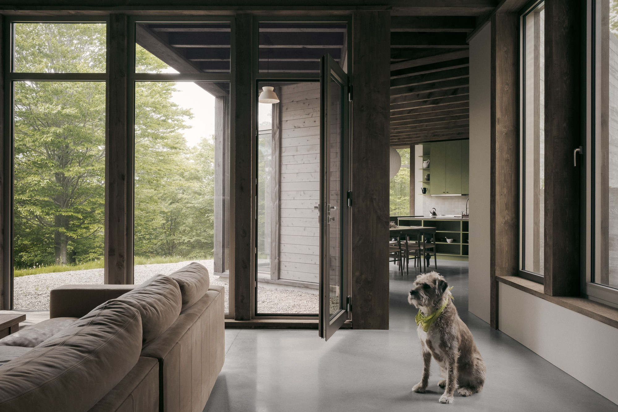 Living room with a taupe sofa and open glazed door, a wire-haired dog seated on the polished concrete floor beside a forest view