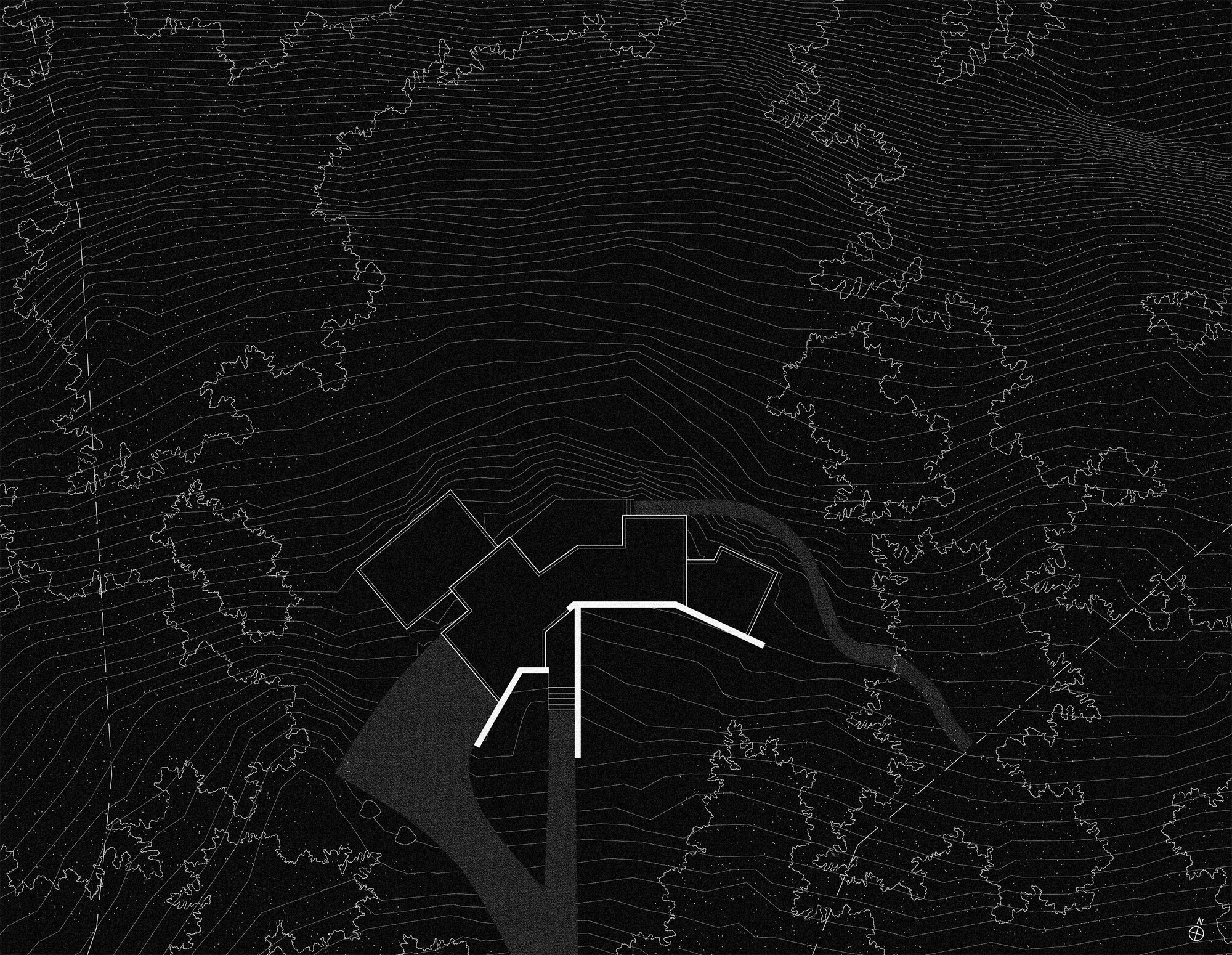 Site plan drawing showing the angled building footprint, driveway and white wall lines set among contour lines and tree canopy outlines