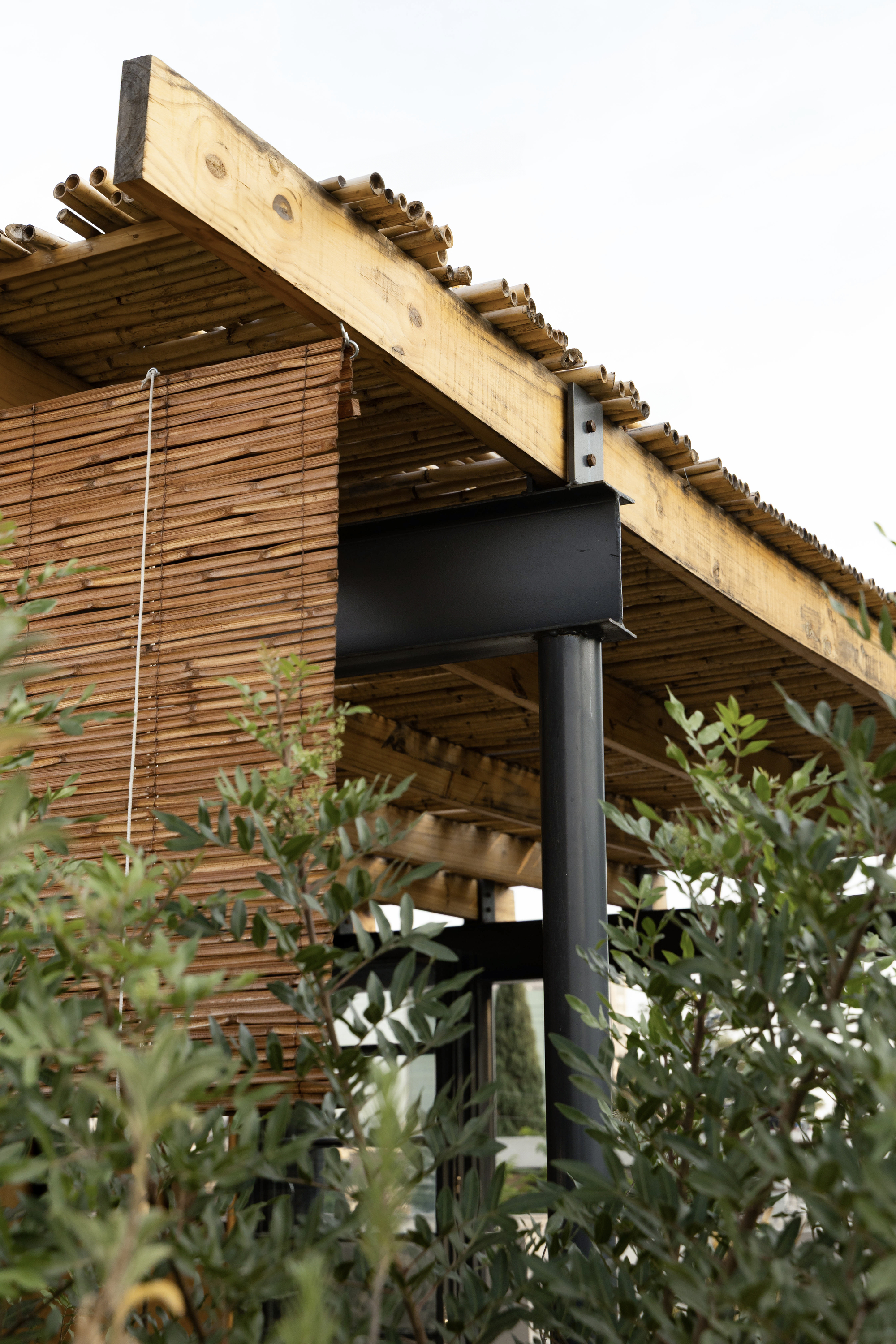 Corner of a timber pergola with bamboo roofing, a bamboo blind, and a black steel beam on a round column behind olive leaves
