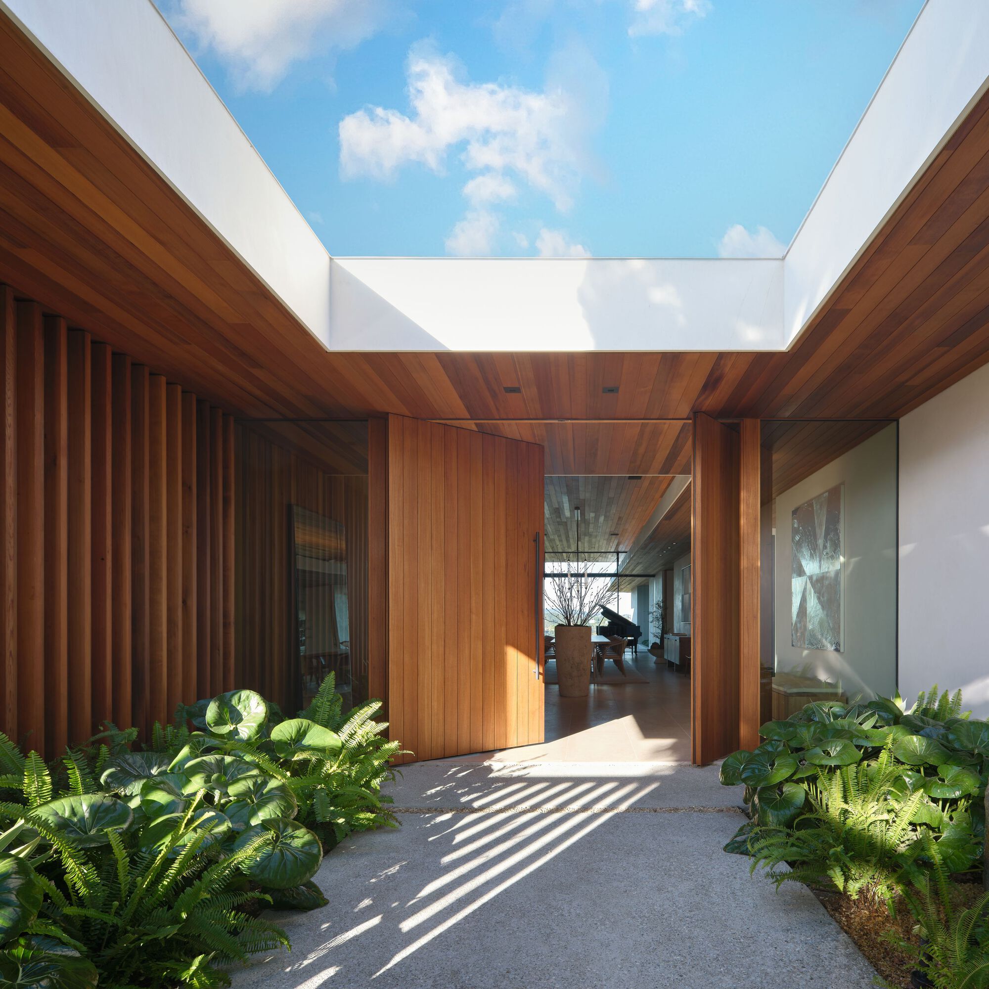 Entry court with a pivot timber door and slatted wall, ferns in foreground and sunlight casting stripes across the concrete