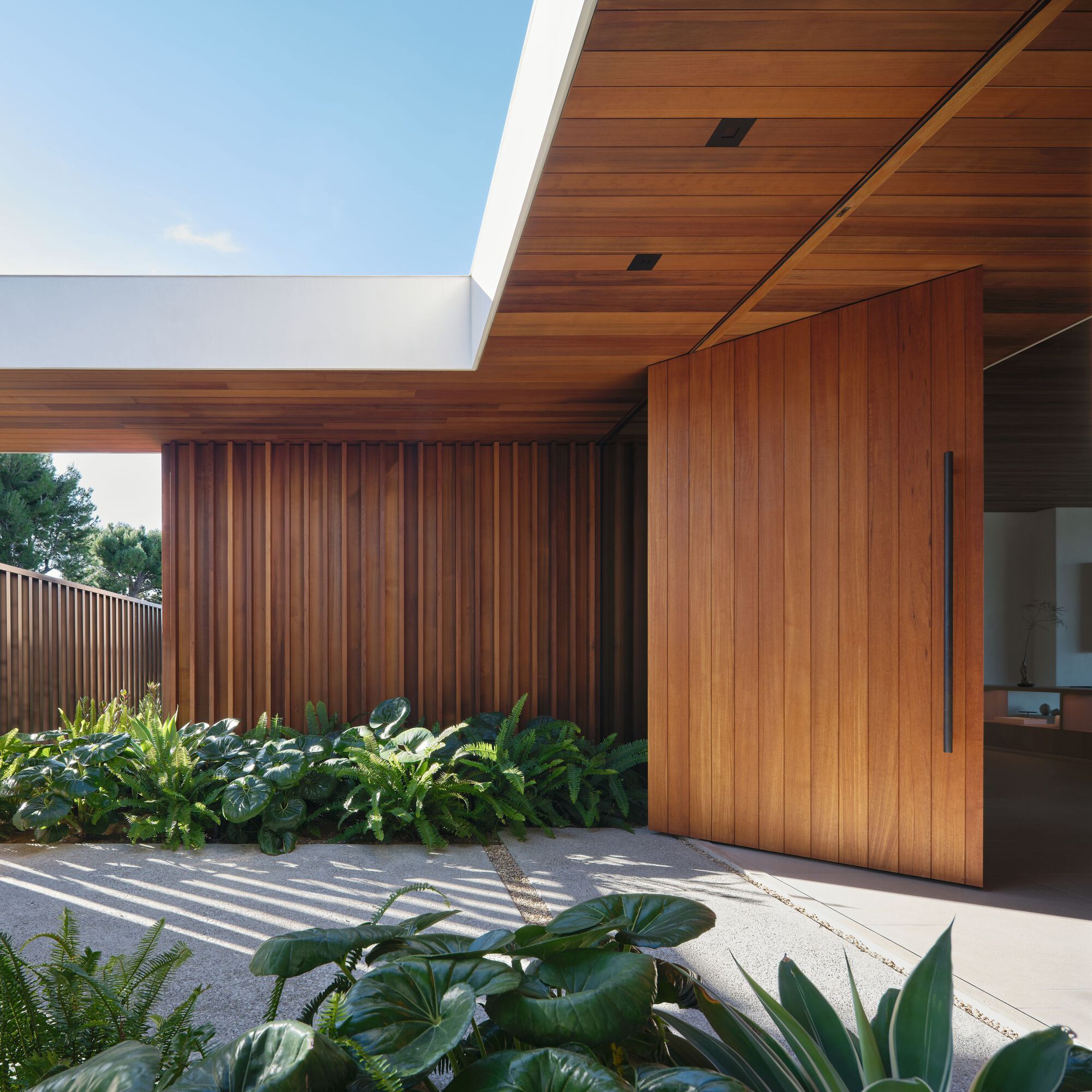 Pivot entry door of vertical timber boards beside a slatted screen, with broad-leaf plants and a square opening to the sky