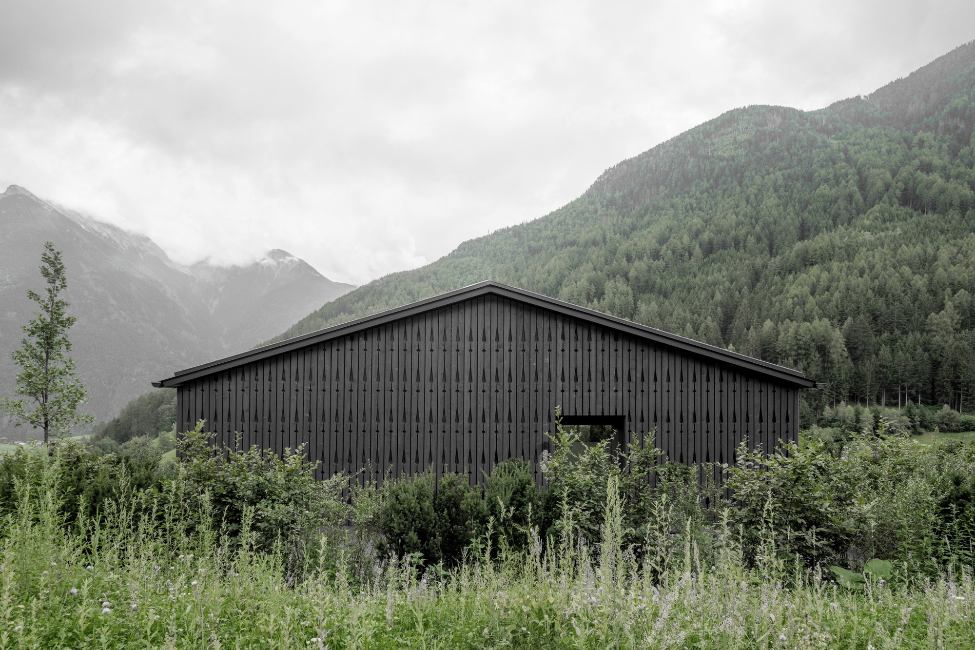 Dark timber barn-like volume with a gabled roof and vertical slatted cladding, set behind tall meadow grass under low cloud