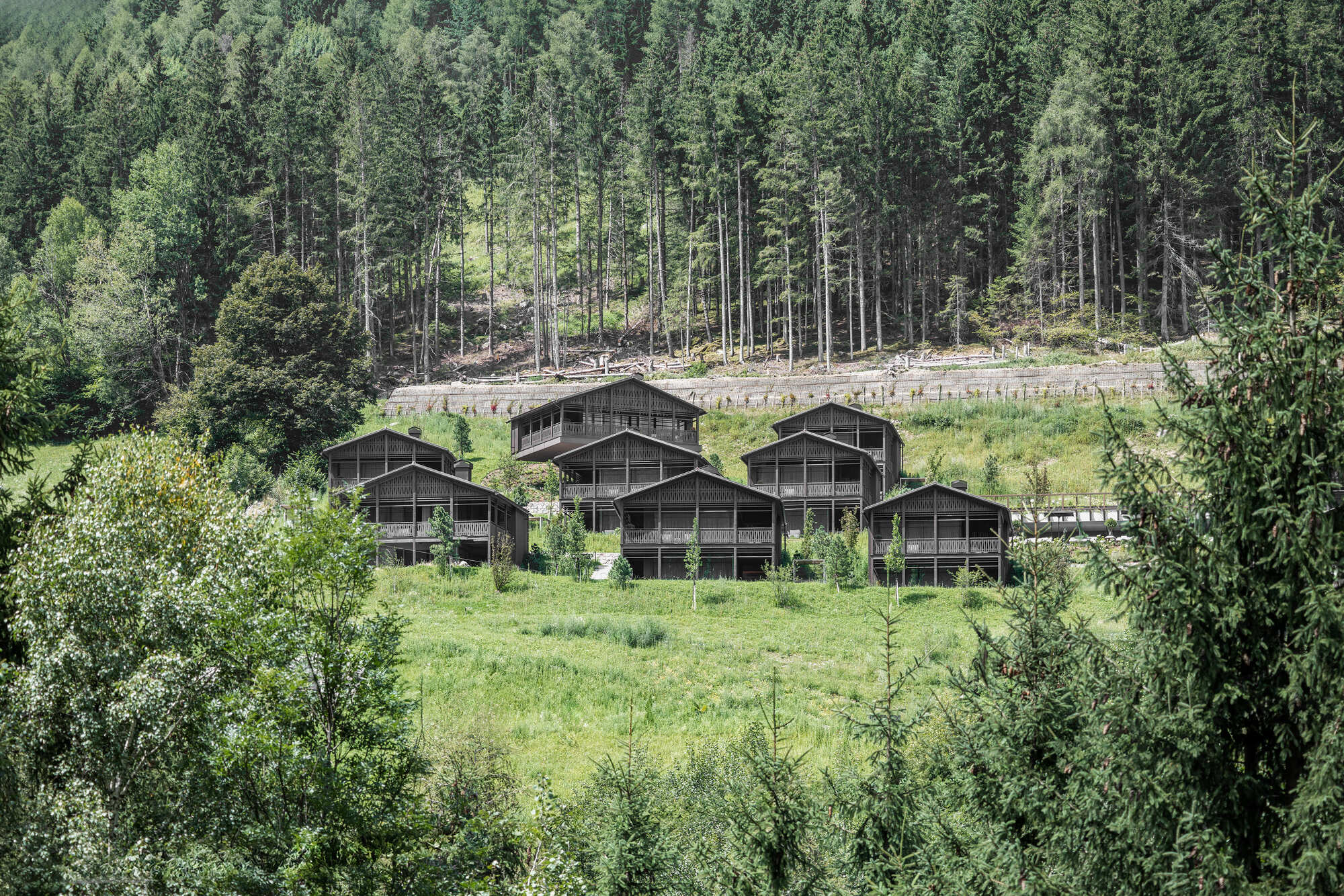 Cluster of dark timber chalets with balconies stepping up a green meadow below a dense conifer forest in summer