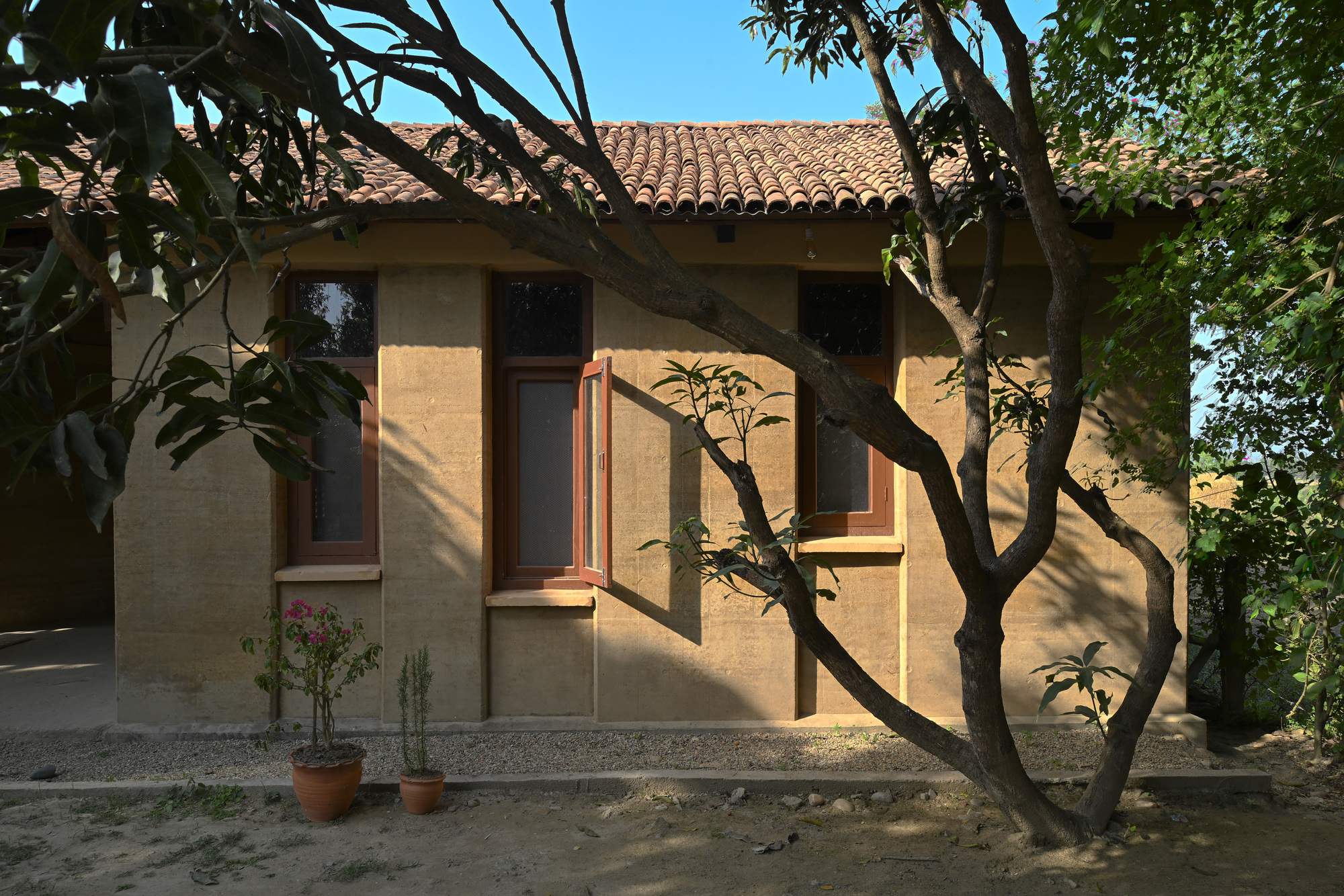 Rammed earth facade with timber-framed windows under a clay tile roof, shaded by a branching tree and two potted plants