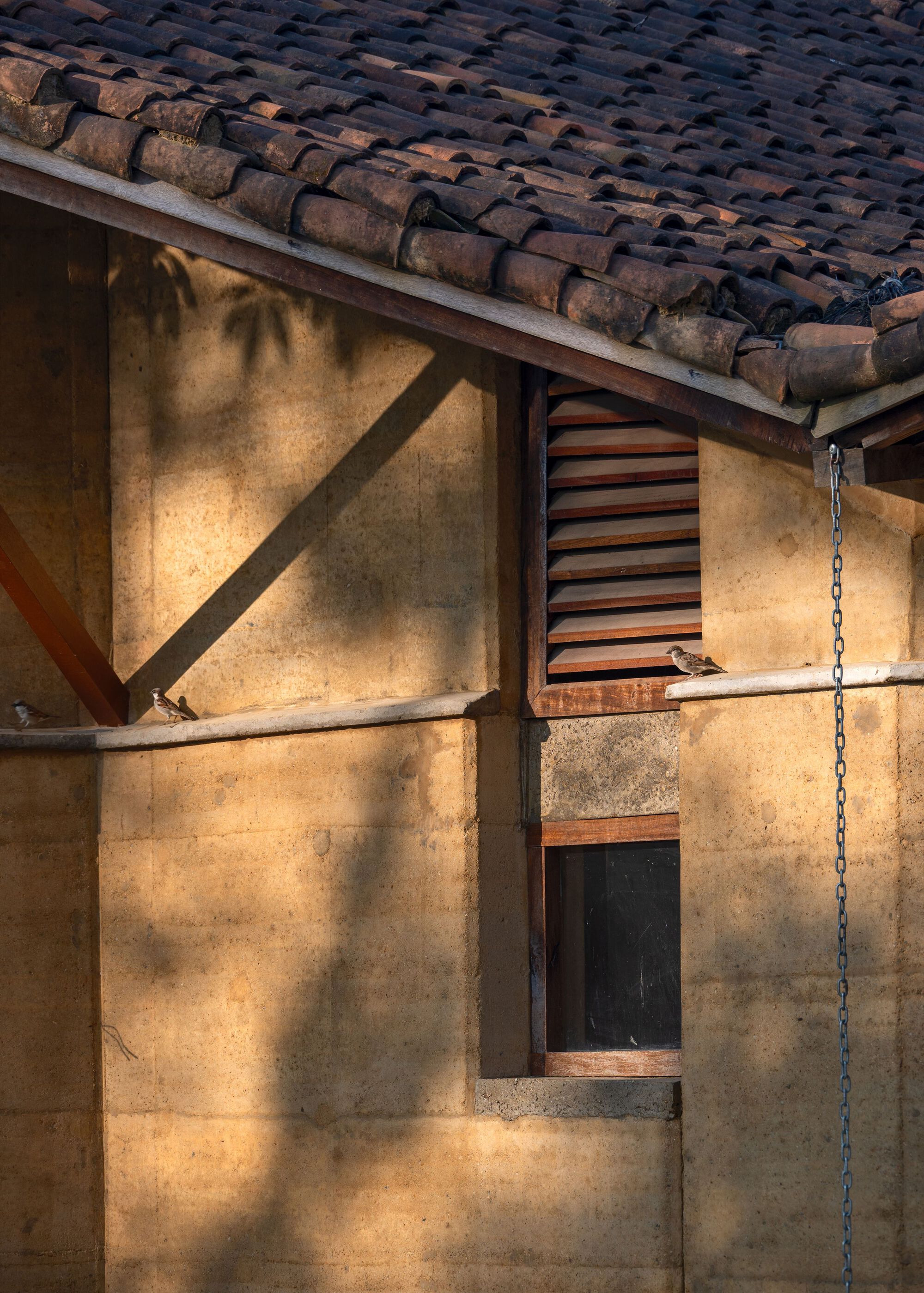 Close-up of the rammed earth wall corner with louvered window and clay tiles, sparrows perched on the ledge in low sun