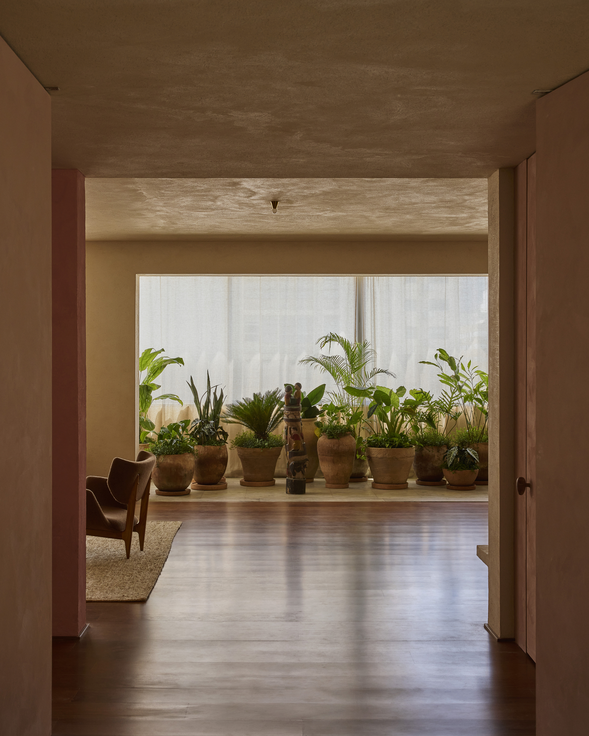 View through a pink doorway to potted palms and ferns lined up before sheer curtains on a polished wood floor