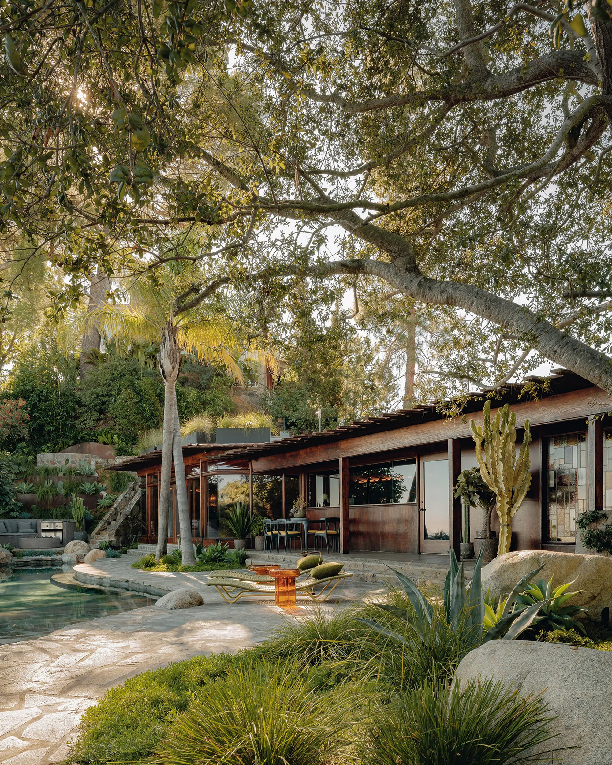 Low timber-framed house beside a stone-edged pool, framed by a spreading oak branch and a tall palm in late sun