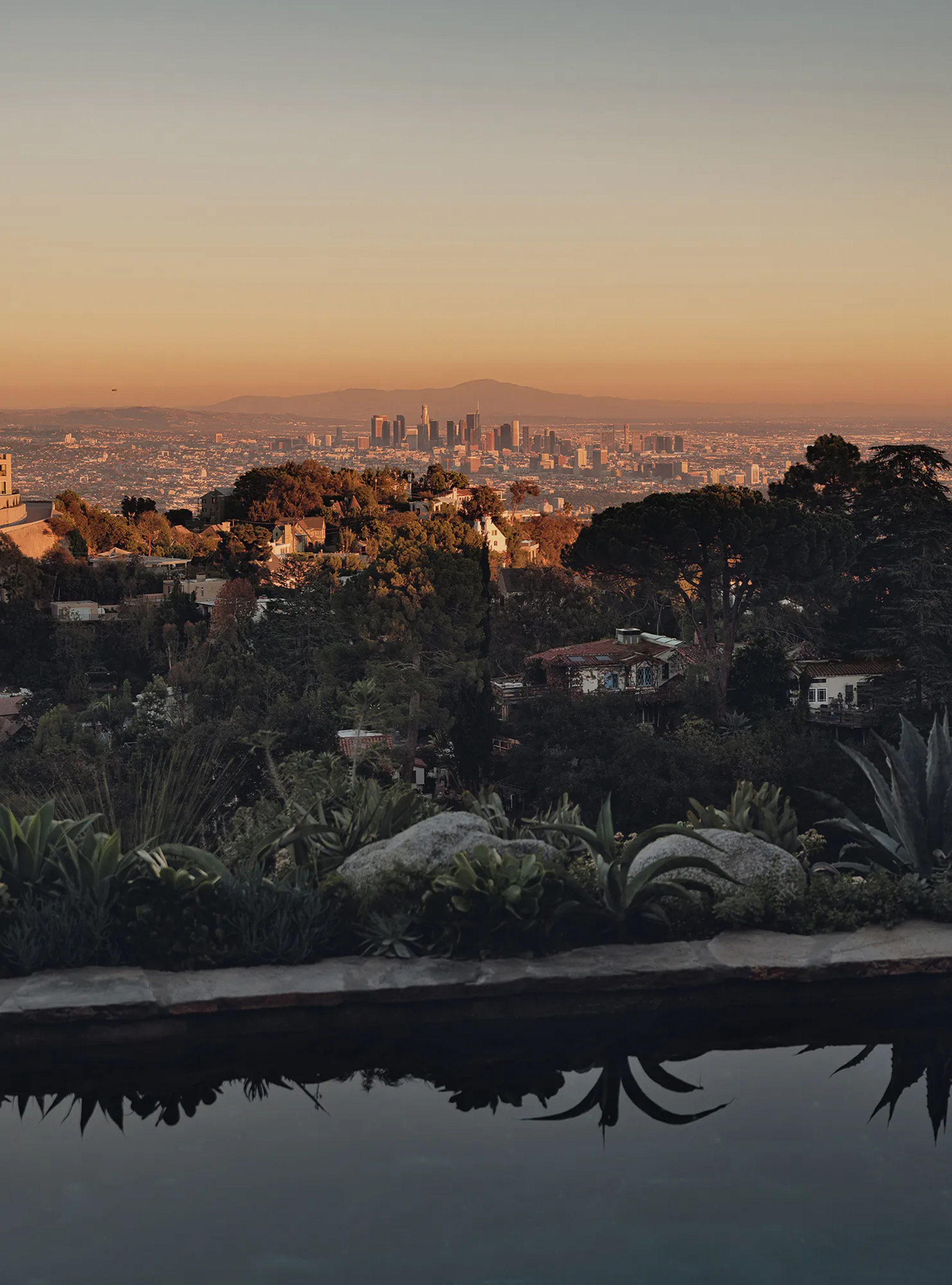 Still pool edge with agave and boulders reflecting in the water, looking over hillside rooftops to a distant skyline at dusk