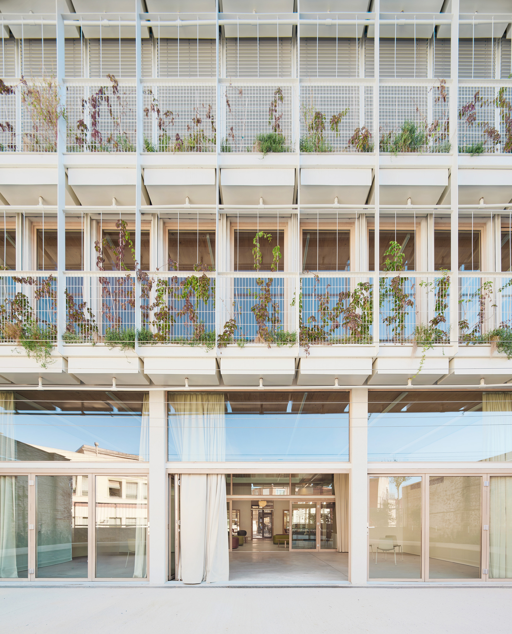 Close view of the white steel frame facade with trailing vines on balcony railings above a glazed ground floor with drawn curtains