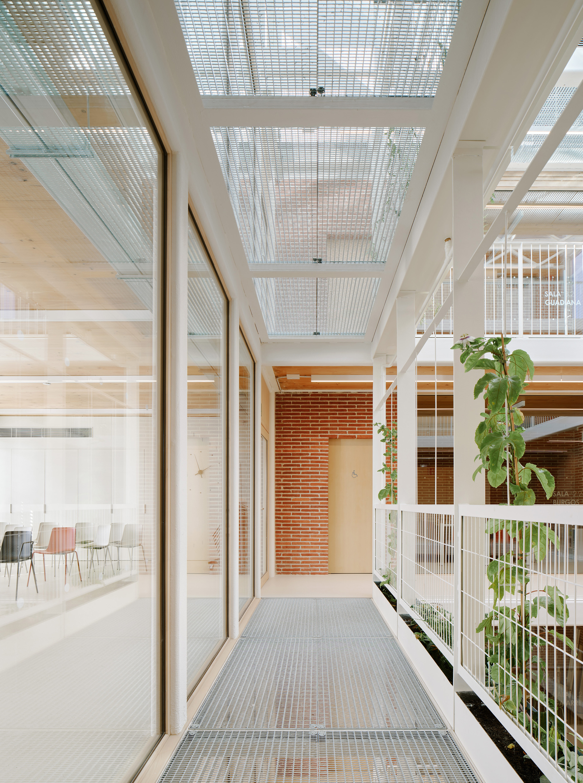 Metal grating walkway beside a glazed meeting room, with a climbing plant on the white railing under a translucent grated roof