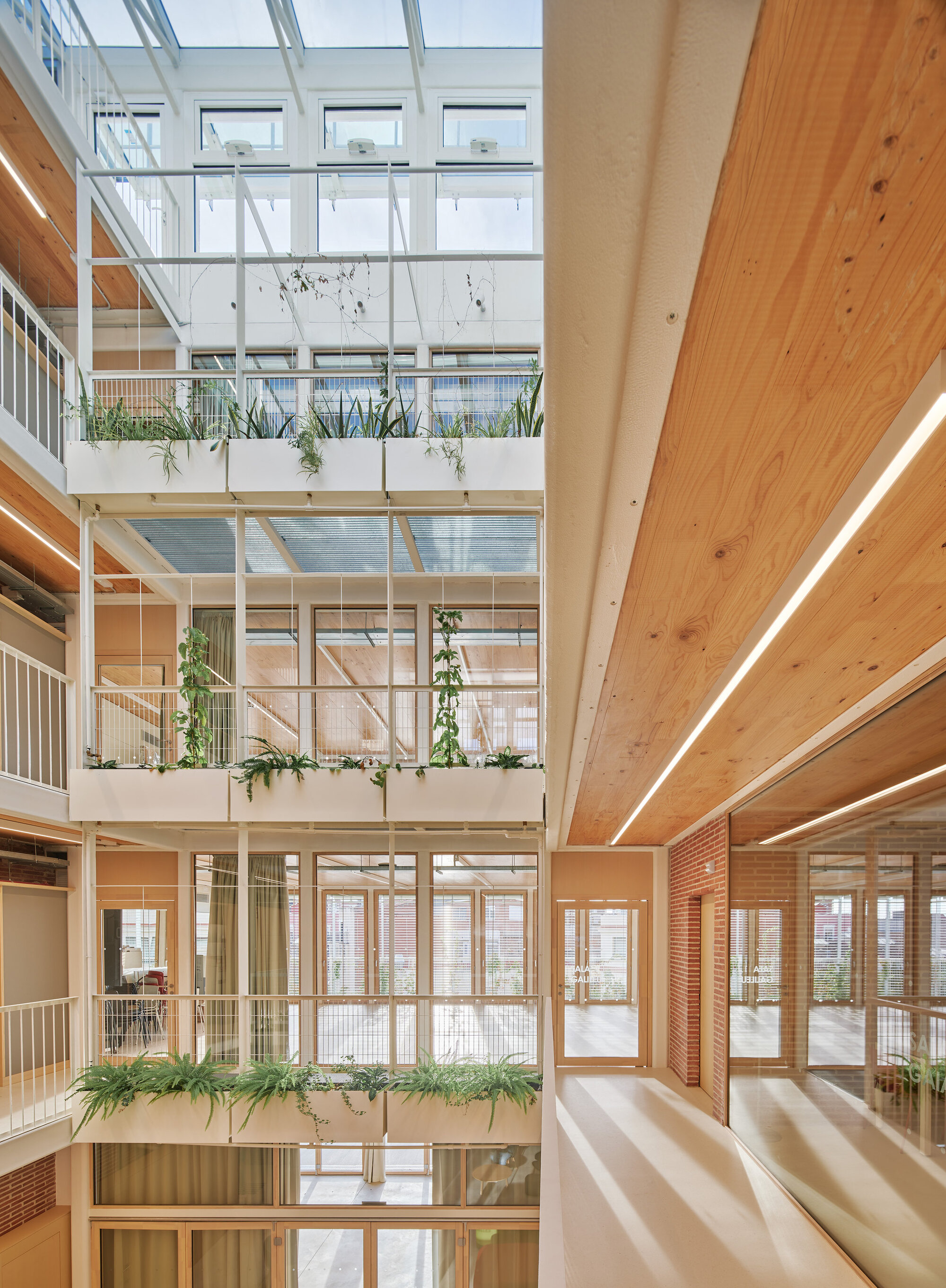 Multi-storey atrium with white planter boxes on each balcony, a timber ceiling and a skylight, lit by a linear light strip