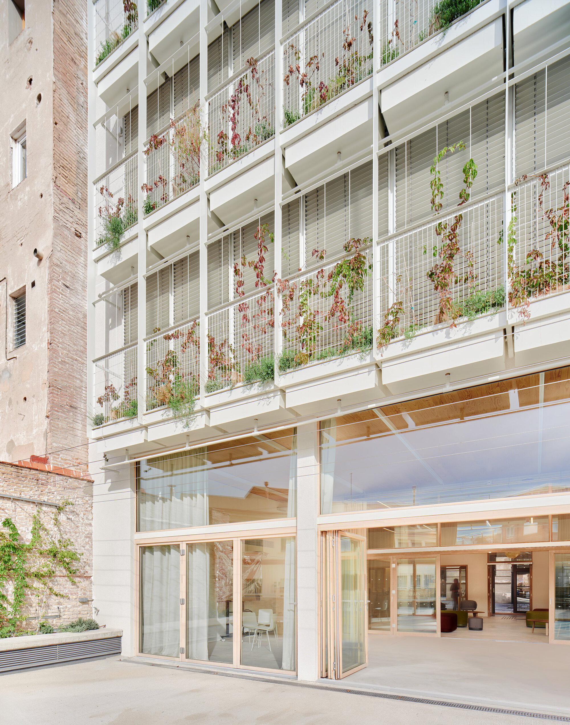 Street facade of white framed balconies with climbing vines and slatted shutters, beside an old brick wall in afternoon light