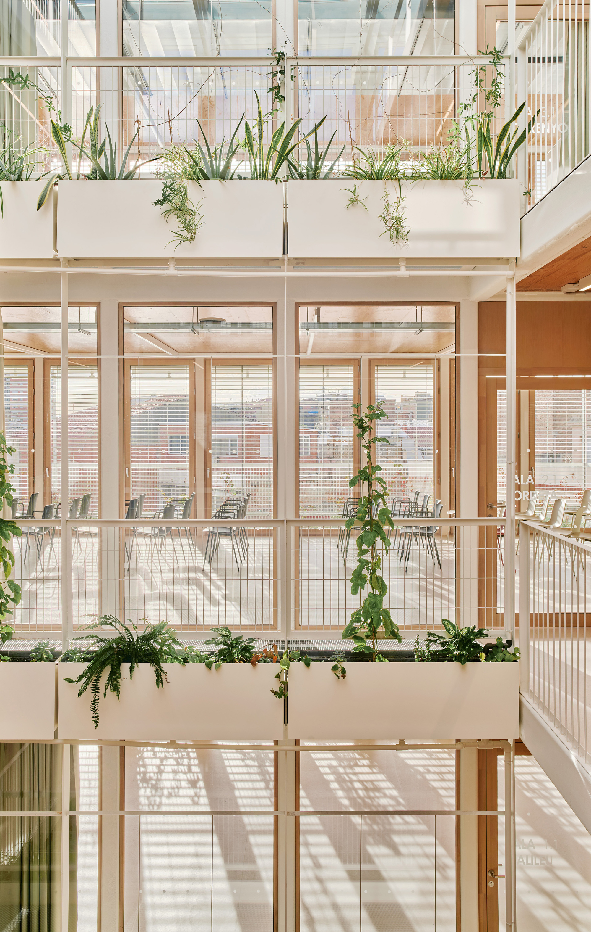 Close view of white planter boxes with ferns and climbers on atrium balconies, with sun-cast shadows on the floors behind