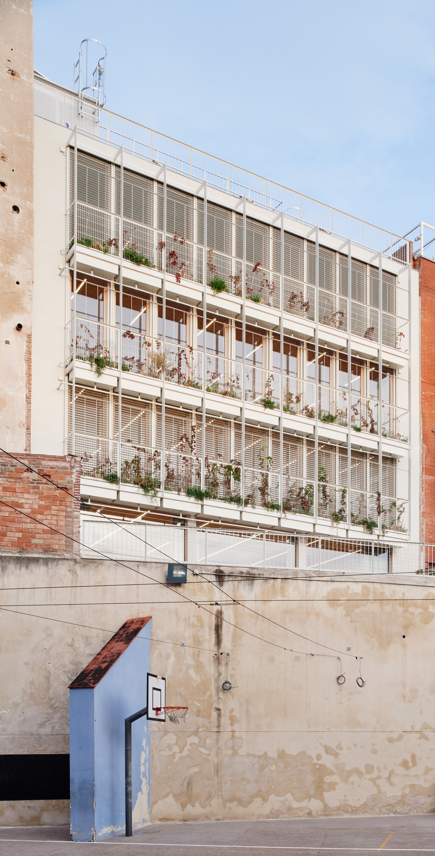 Rear facade of stacked balconies with vines and louvred screens, seen over a weathered court wall with a basketball hoop