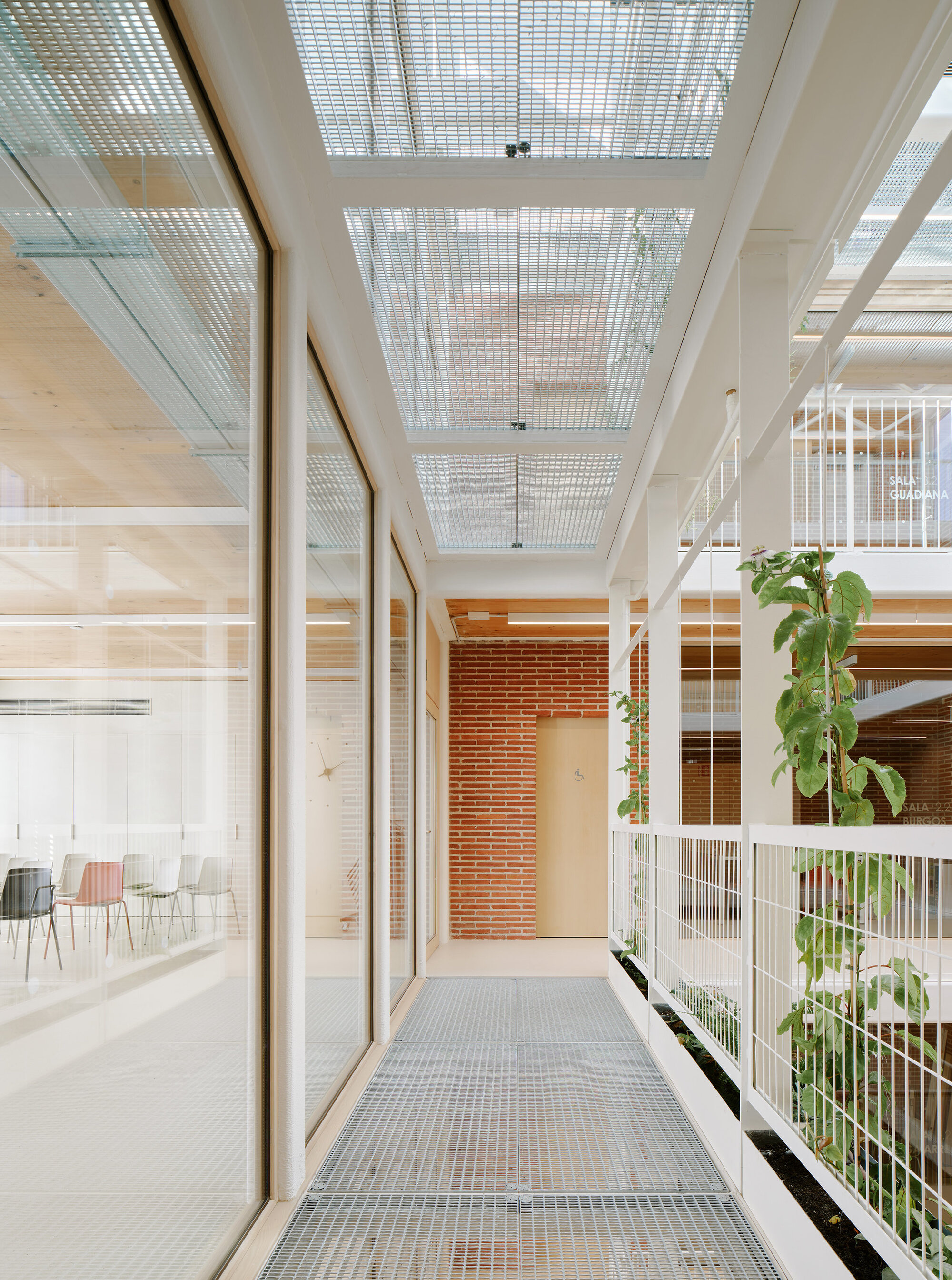 Steel grating walkway beside a glazed meeting room, with climbing vines on the railing and a mesh skylight above