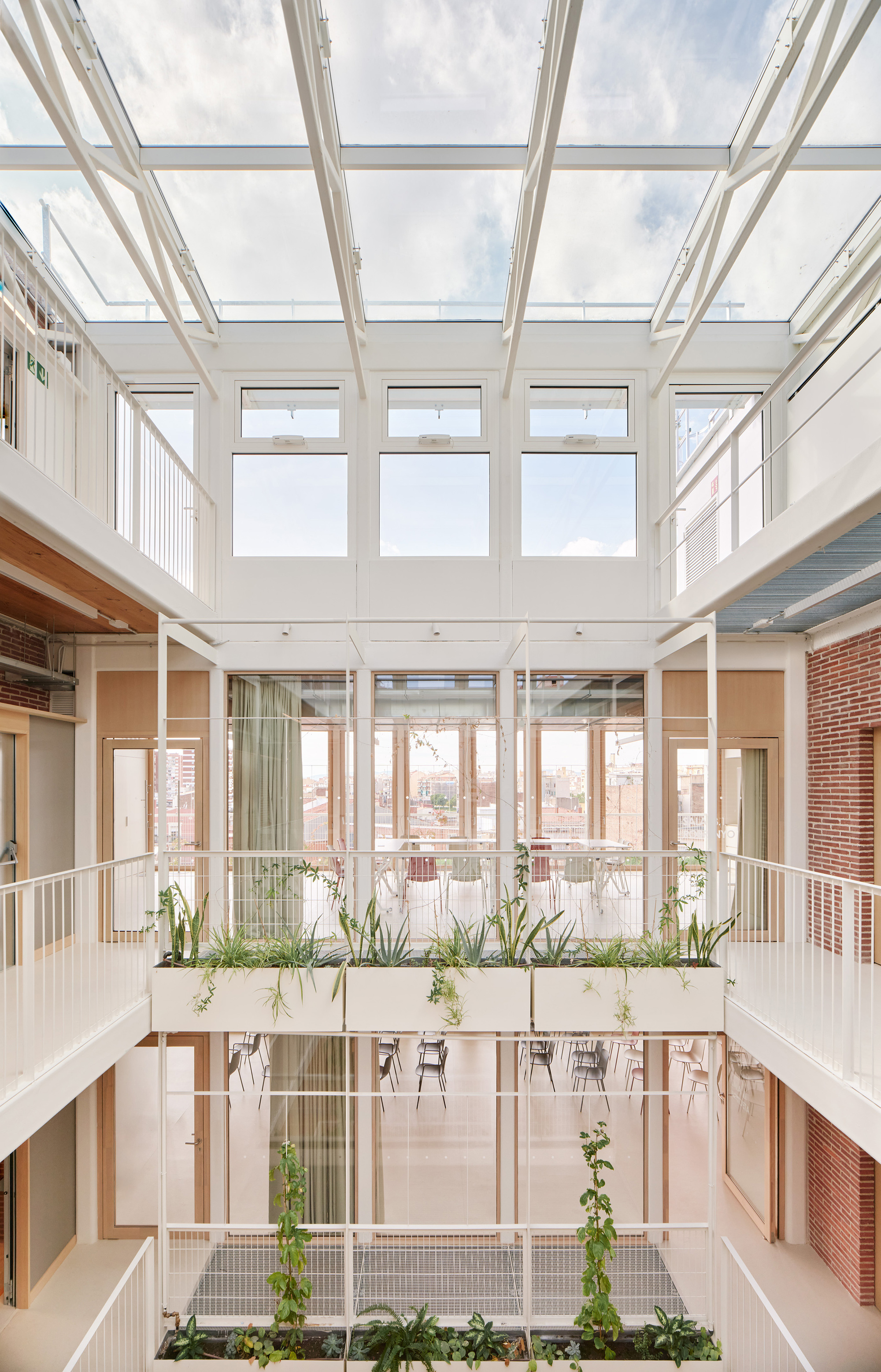 Atrium looking up past planter boxes and climbing plants to a white-framed glass roof and clear sky