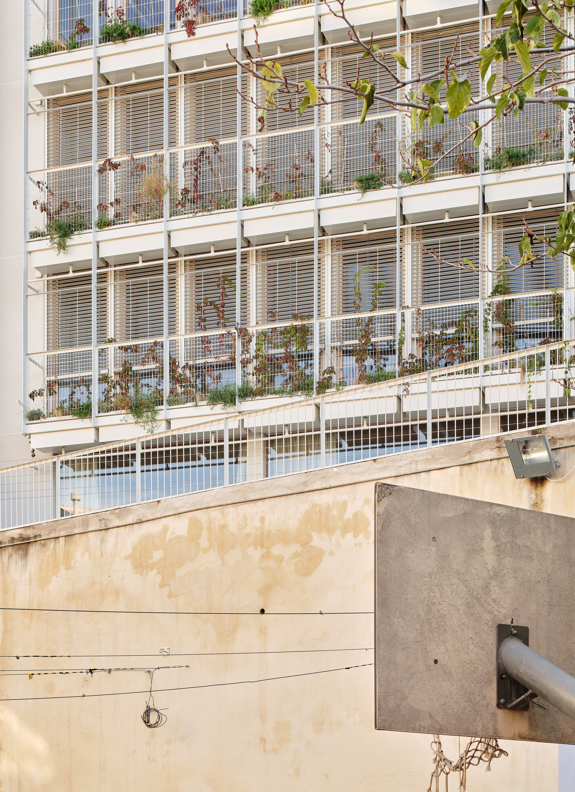 Planted screen facade rising behind a weathered ochre wall, with leafy branches and a steel pole in the foreground
