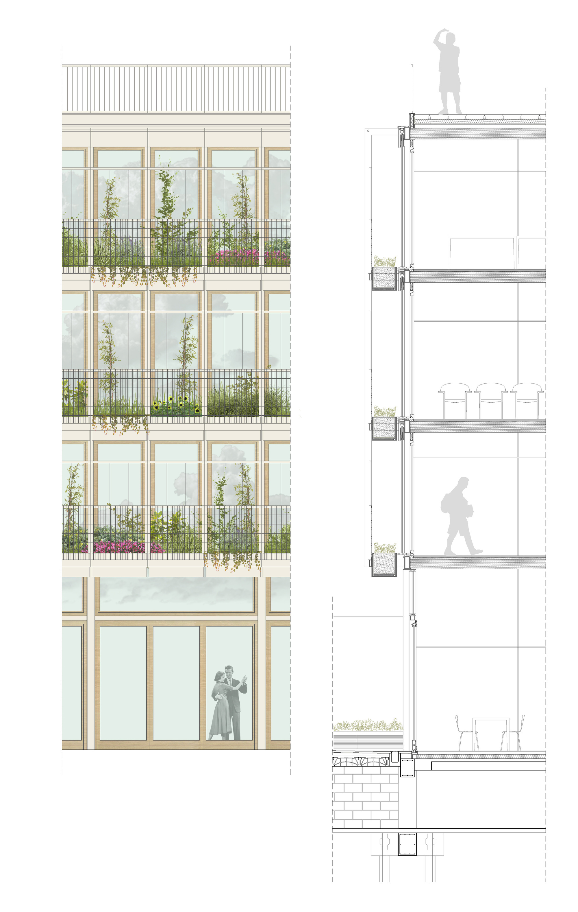 Elevation and wall section drawing of a glazed facade with planter balconies, climbing plants and figures on different floors