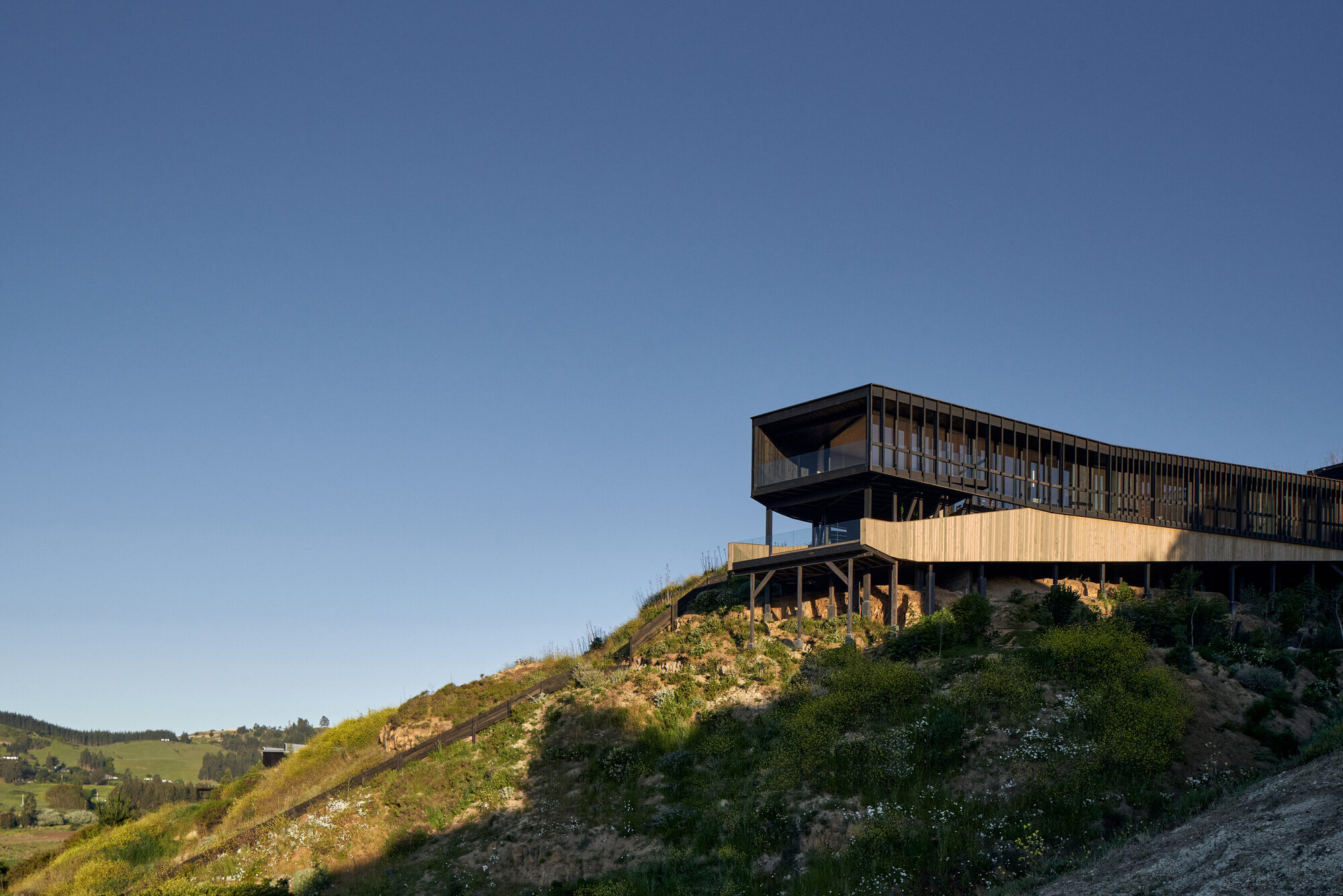 Timber-clad house raised on slender stilts above a grassy hillside, lit by low evening sun under a clear blue sky