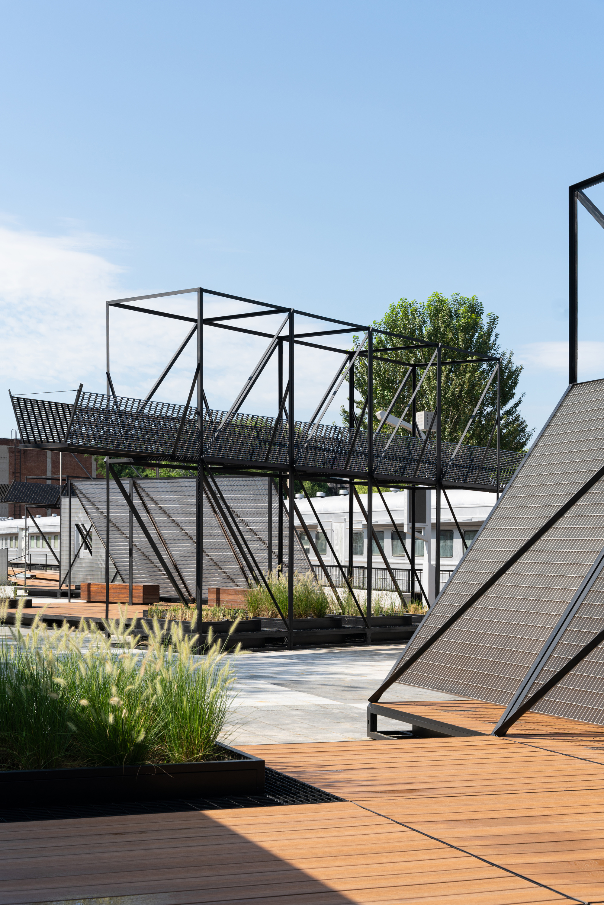 Black steel frame walkway above planters of fountain grass and a timber deck, under a clear summer sky