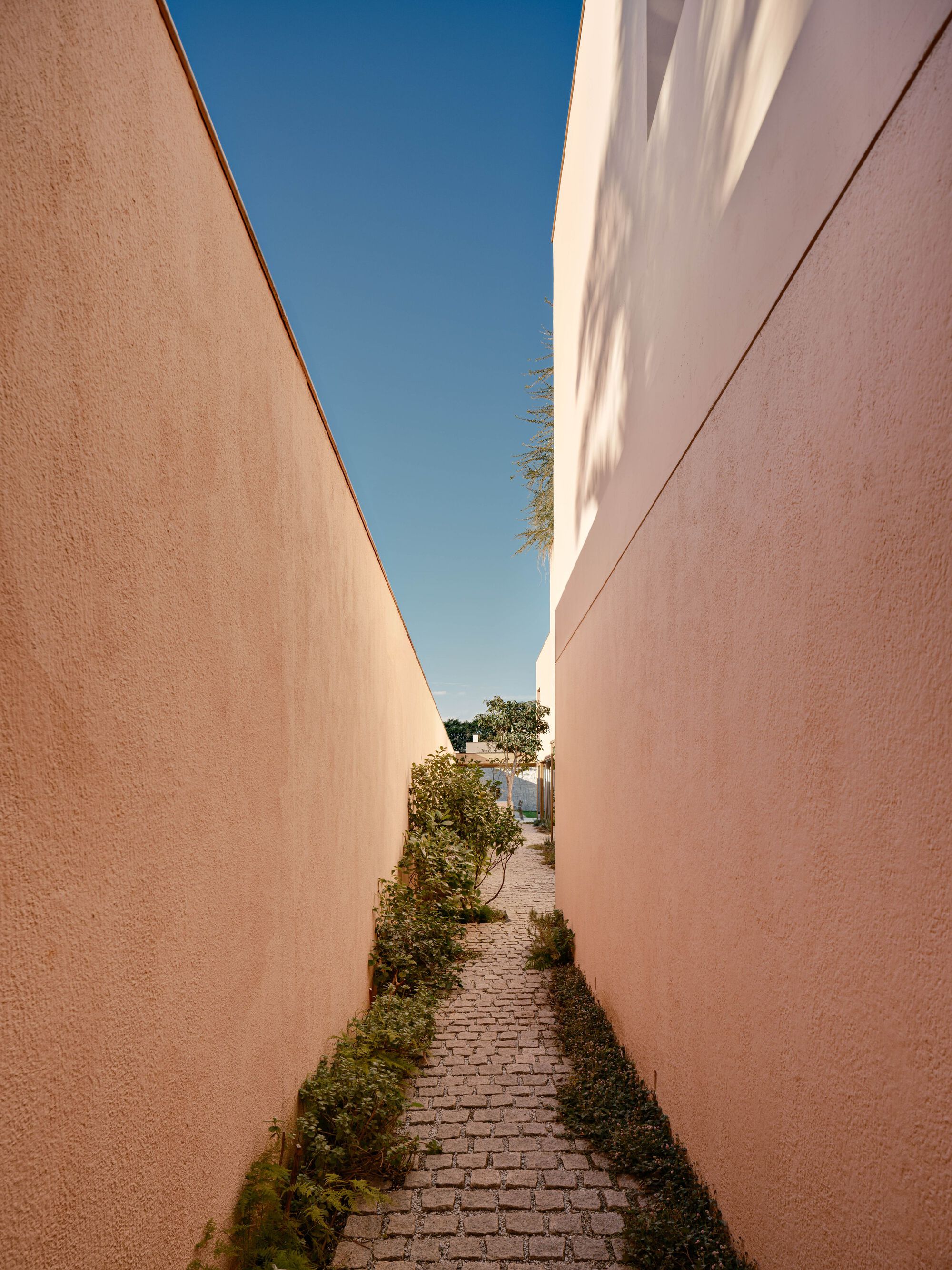 Long view down a paved alley between high pink stucco walls, with shrubs lining the path under a deep blue sky